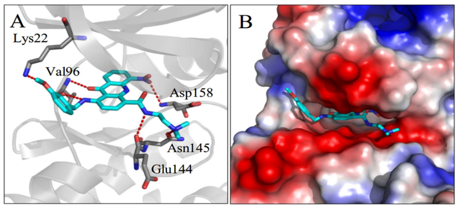Ijms 21 05077 g004 Ijms 21 05077 g004