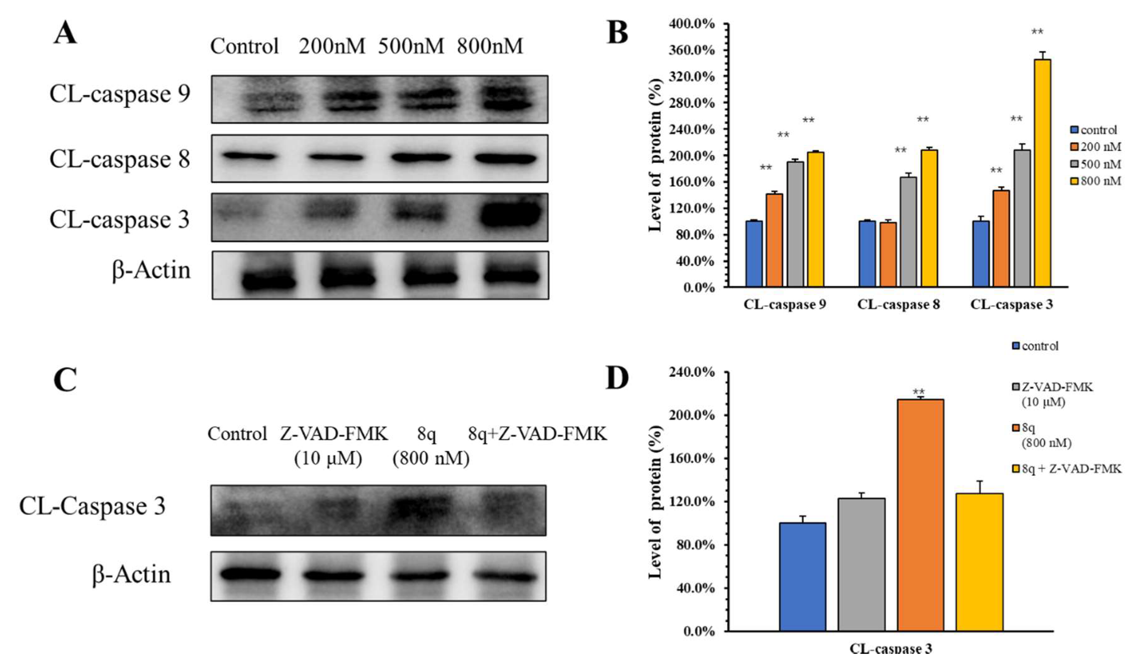 Ijms 21 05077 g006 Ijms 21 05077 g006