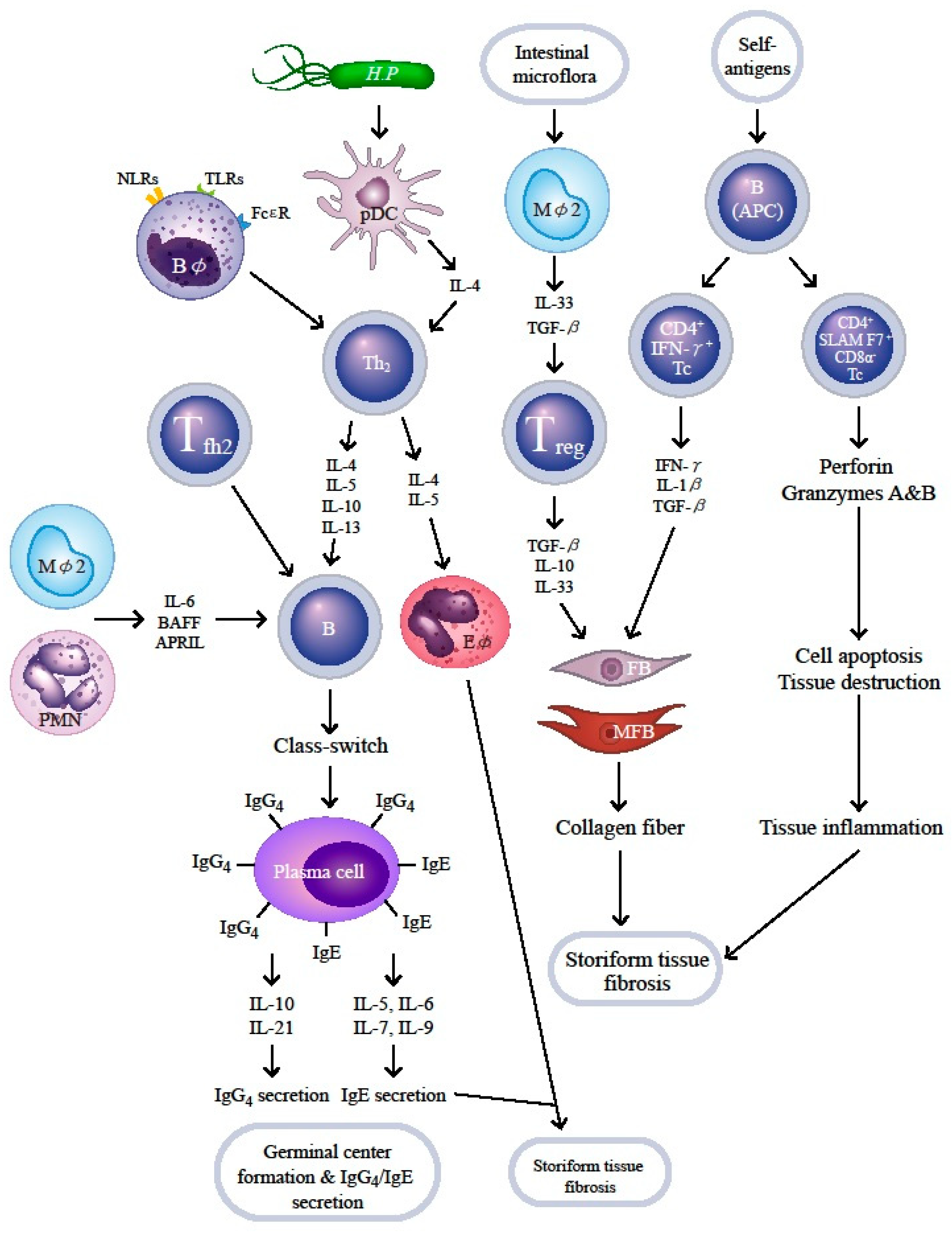 Ijms 21 05082 g002 Ijms 21 05082 g002