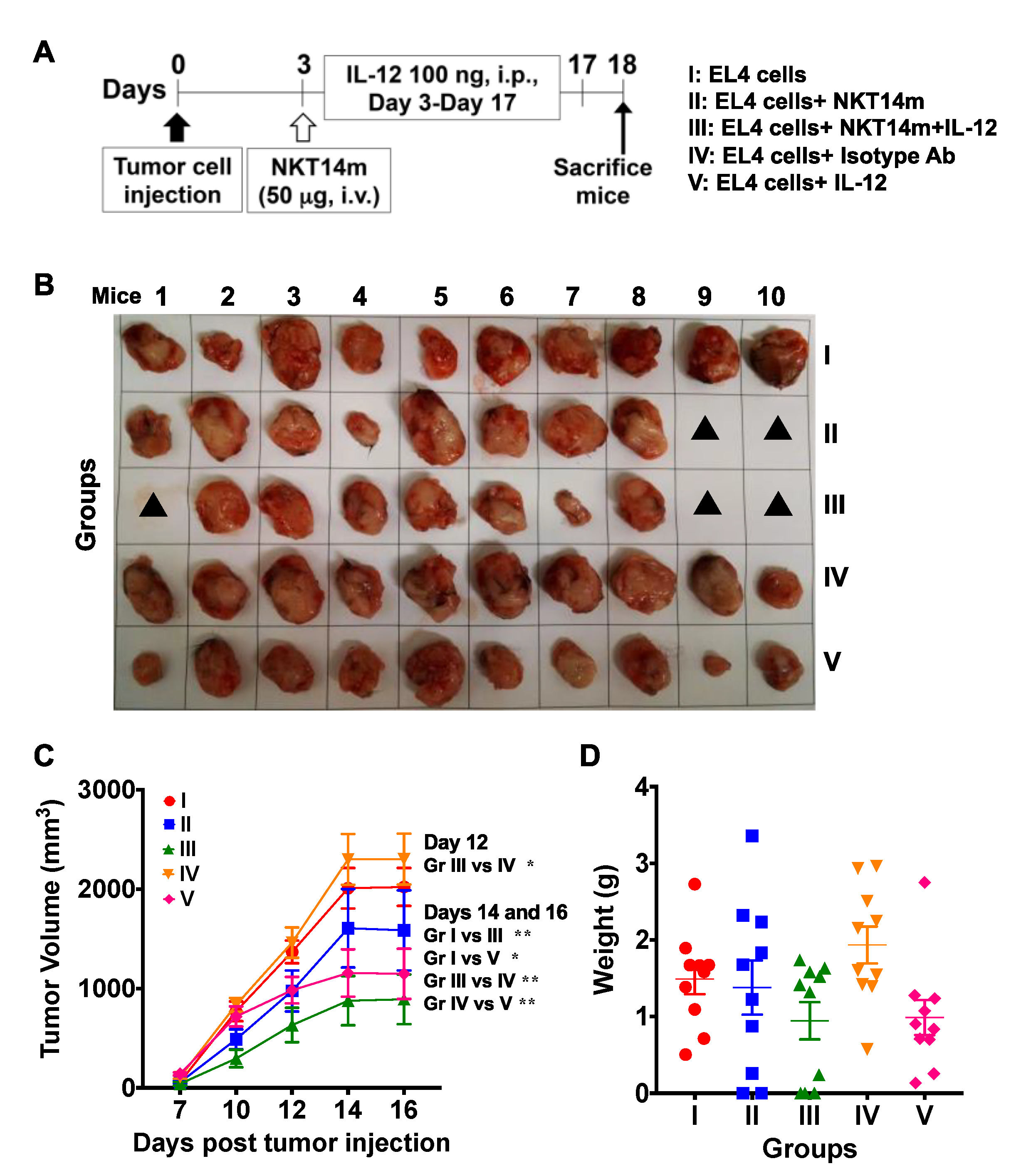 Ijms 21 05085 g007 Ijms 21 05085 g007