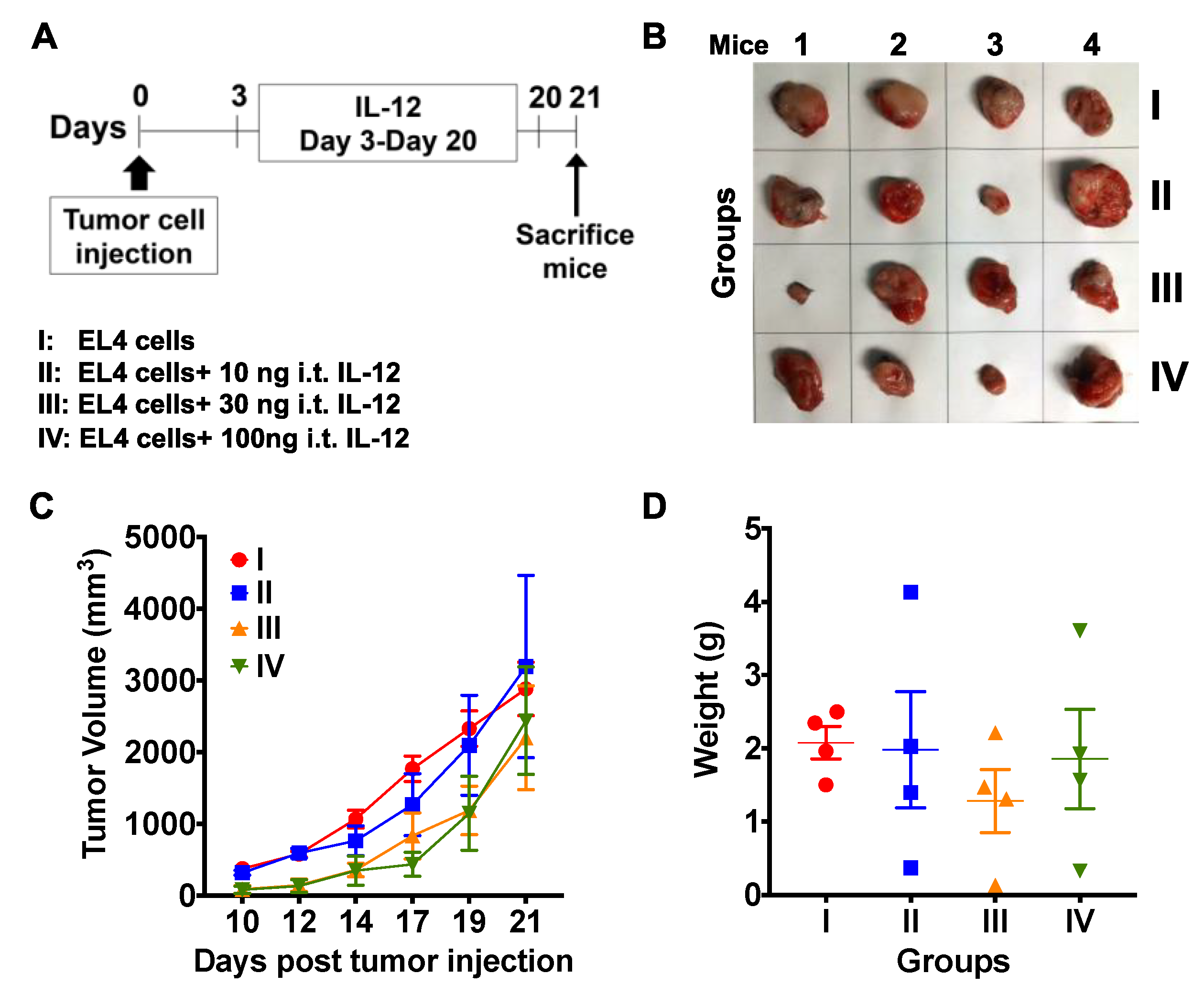Ijms 21 05085 g008 Ijms 21 05085 g008