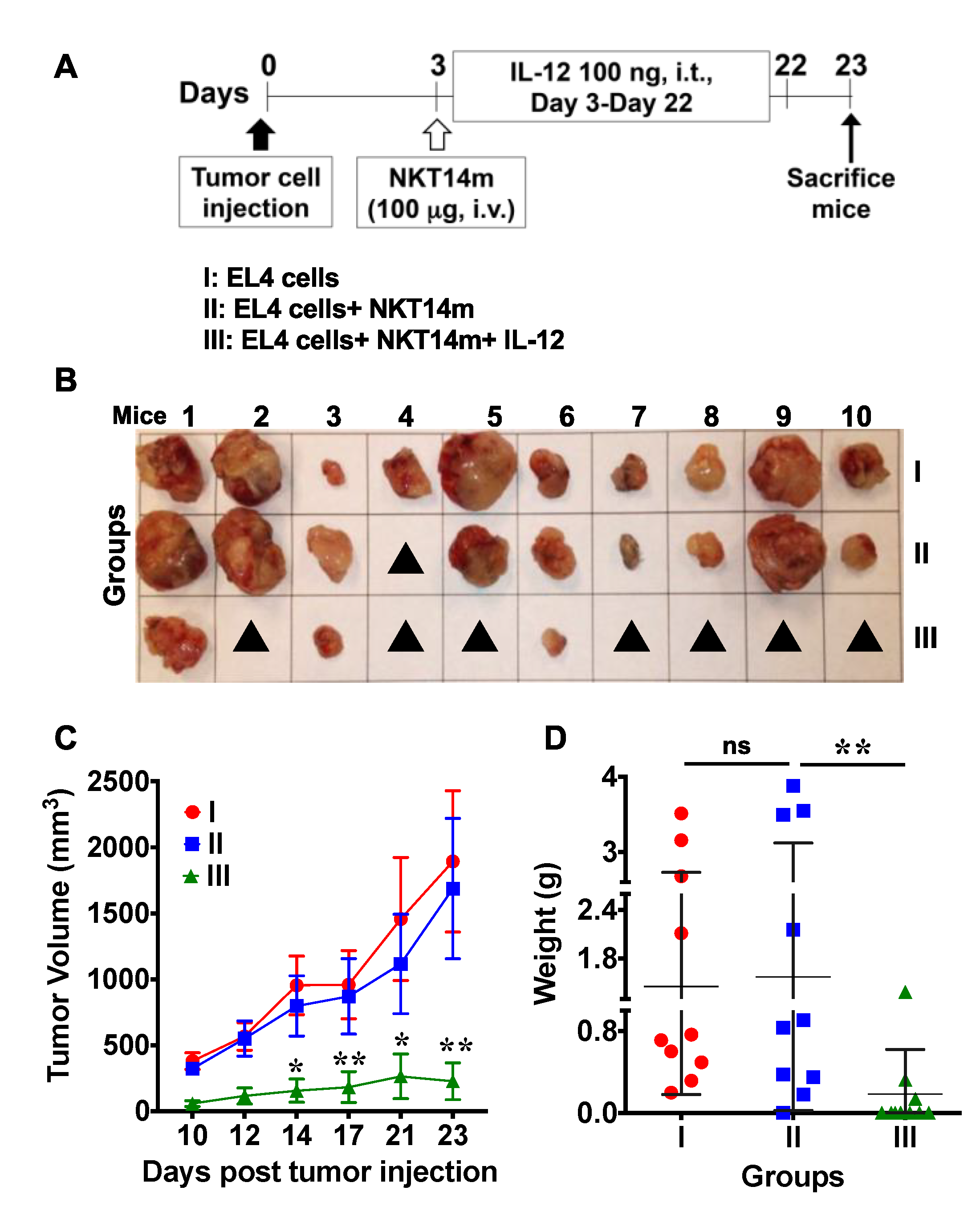 Ijms 21 05085 g009 Ijms 21 05085 g009