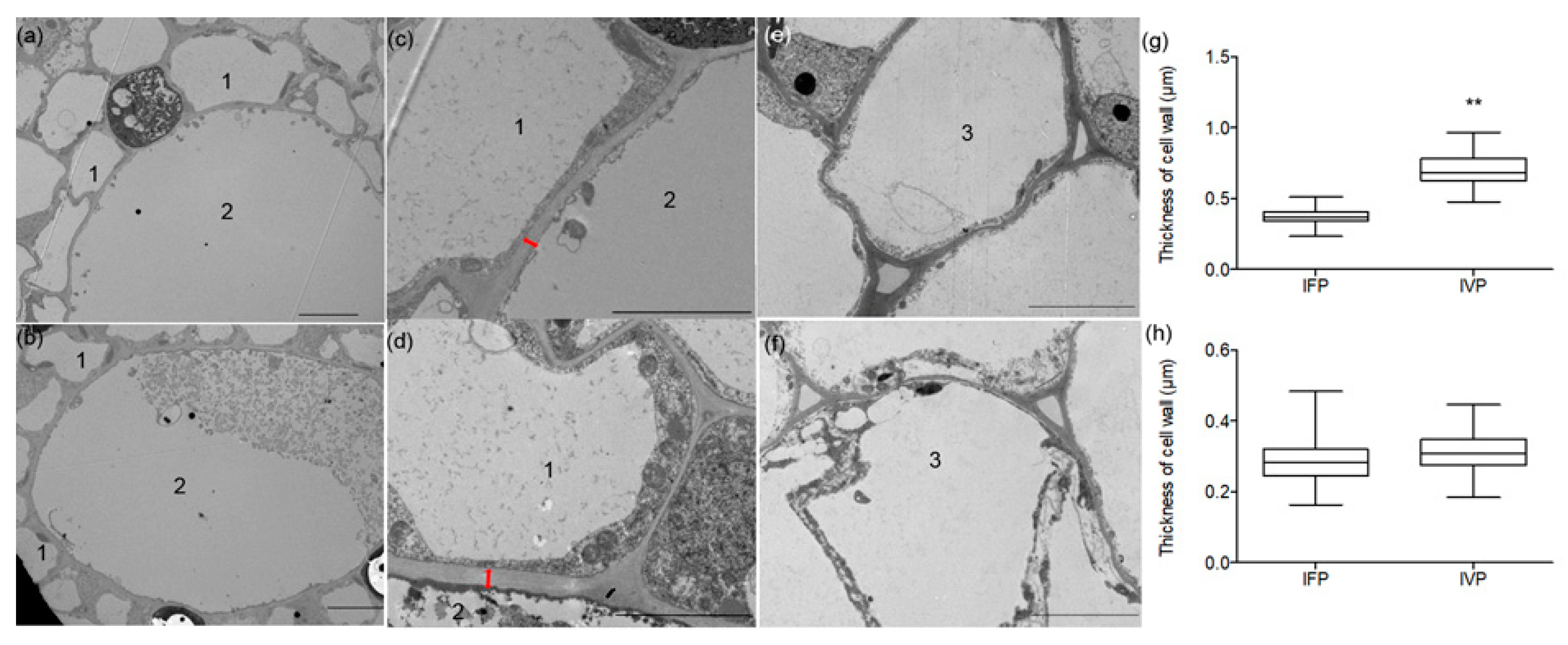 Ijms 21 05087 g003 Ijms 21 05087 g003