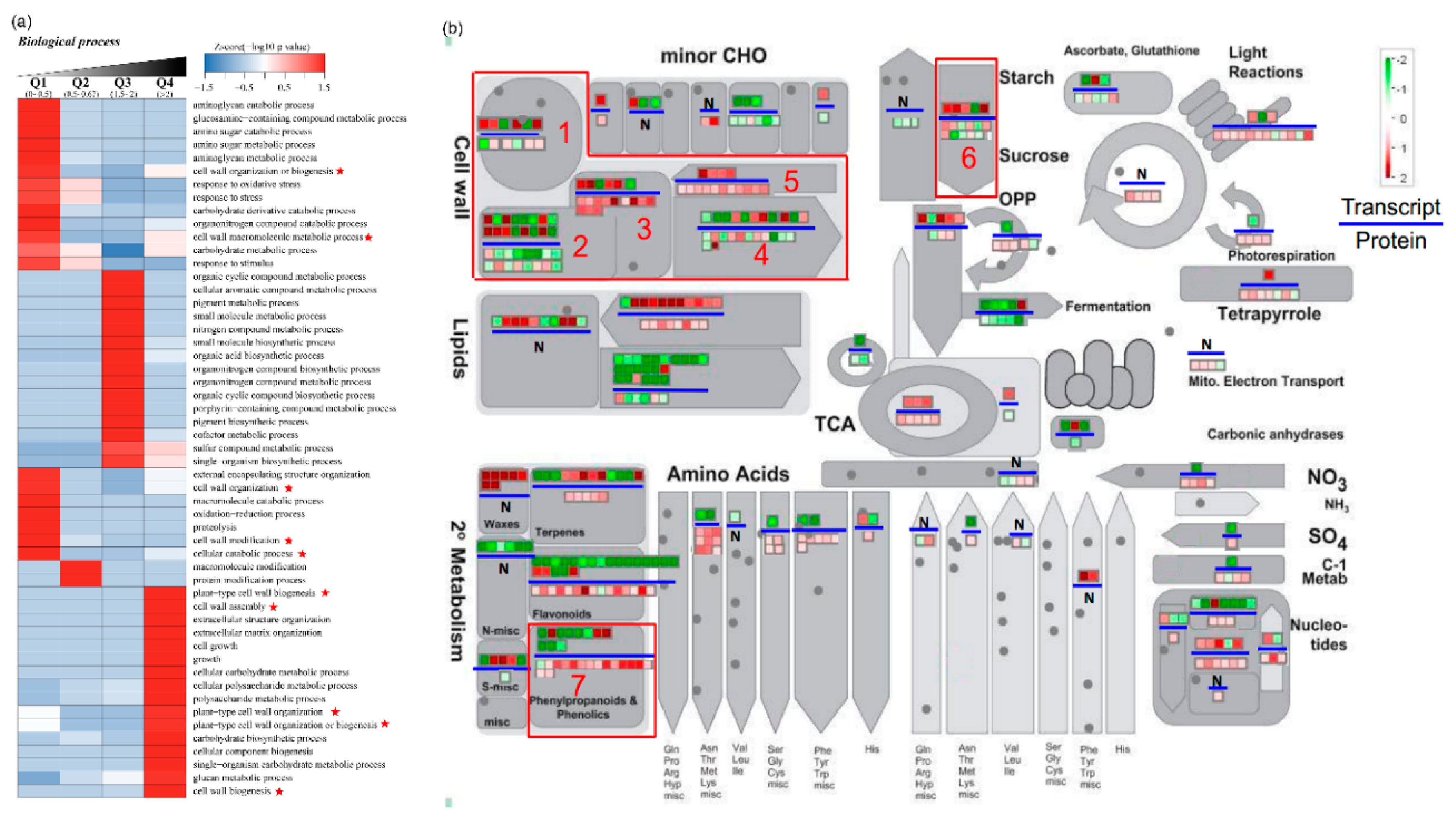 Ijms 21 05087 g006 Ijms 21 05087 g006