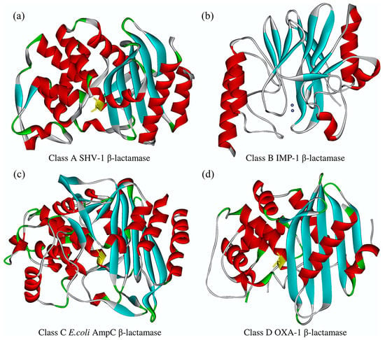 Ijms Free Full Text Molecular Mechanisms Epidemiology And Clinical Importance Of B Lactam Resistance In Enterobacteriaceae Html