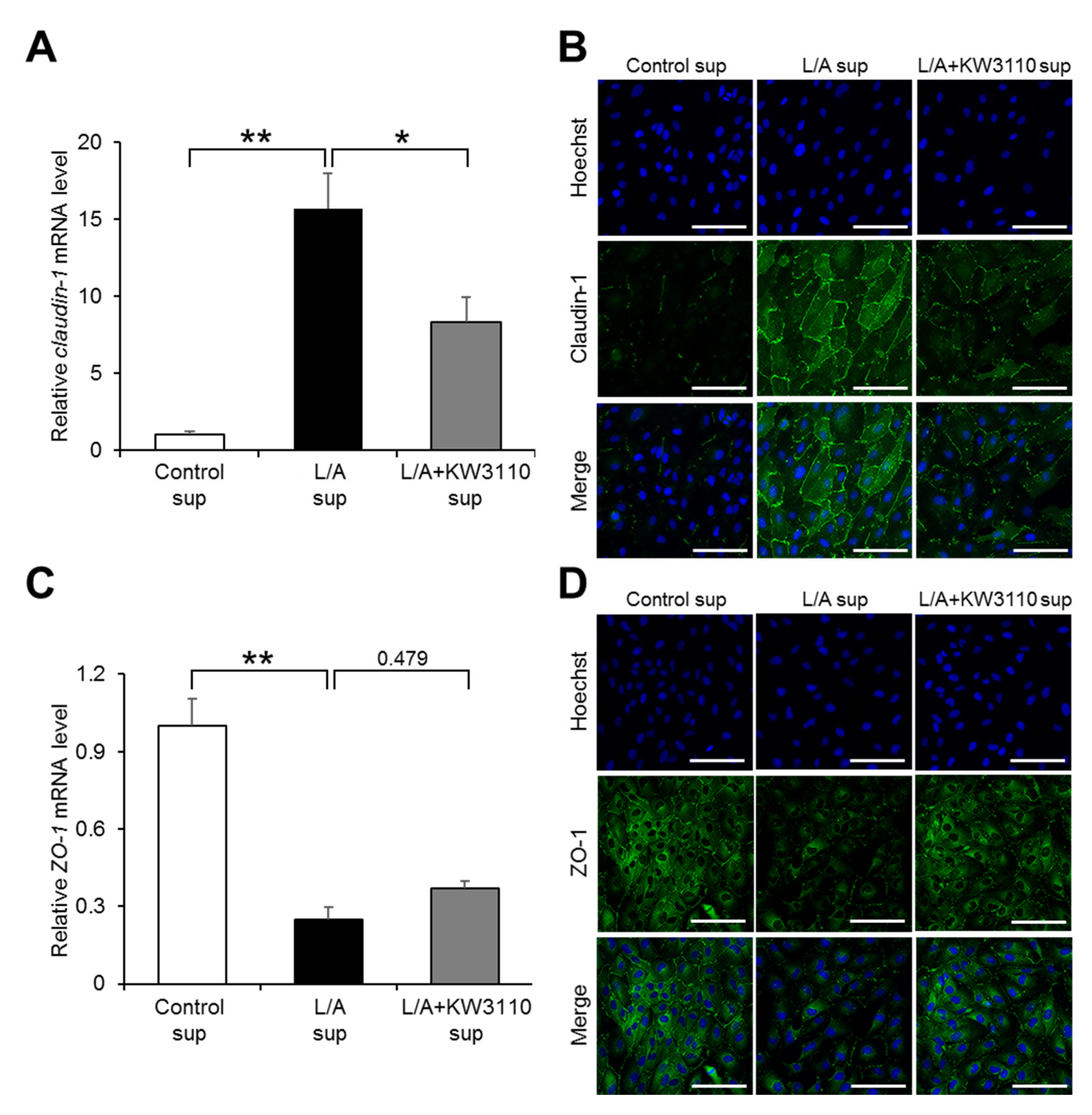 Ijms 21 05091 g005 Ijms 21 05091 g005