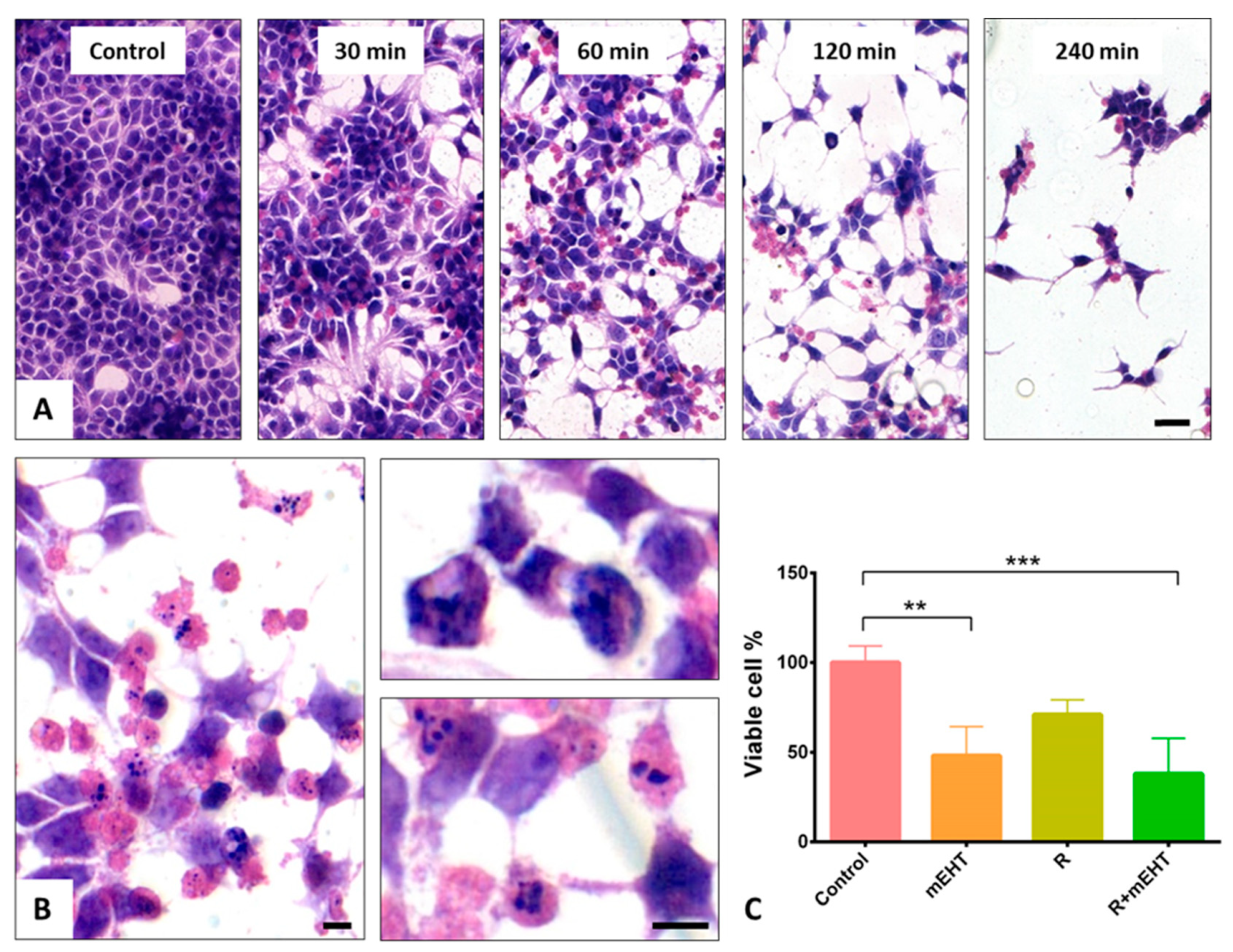 Ijms 21 05100 g001 Ijms 21 05100 g001