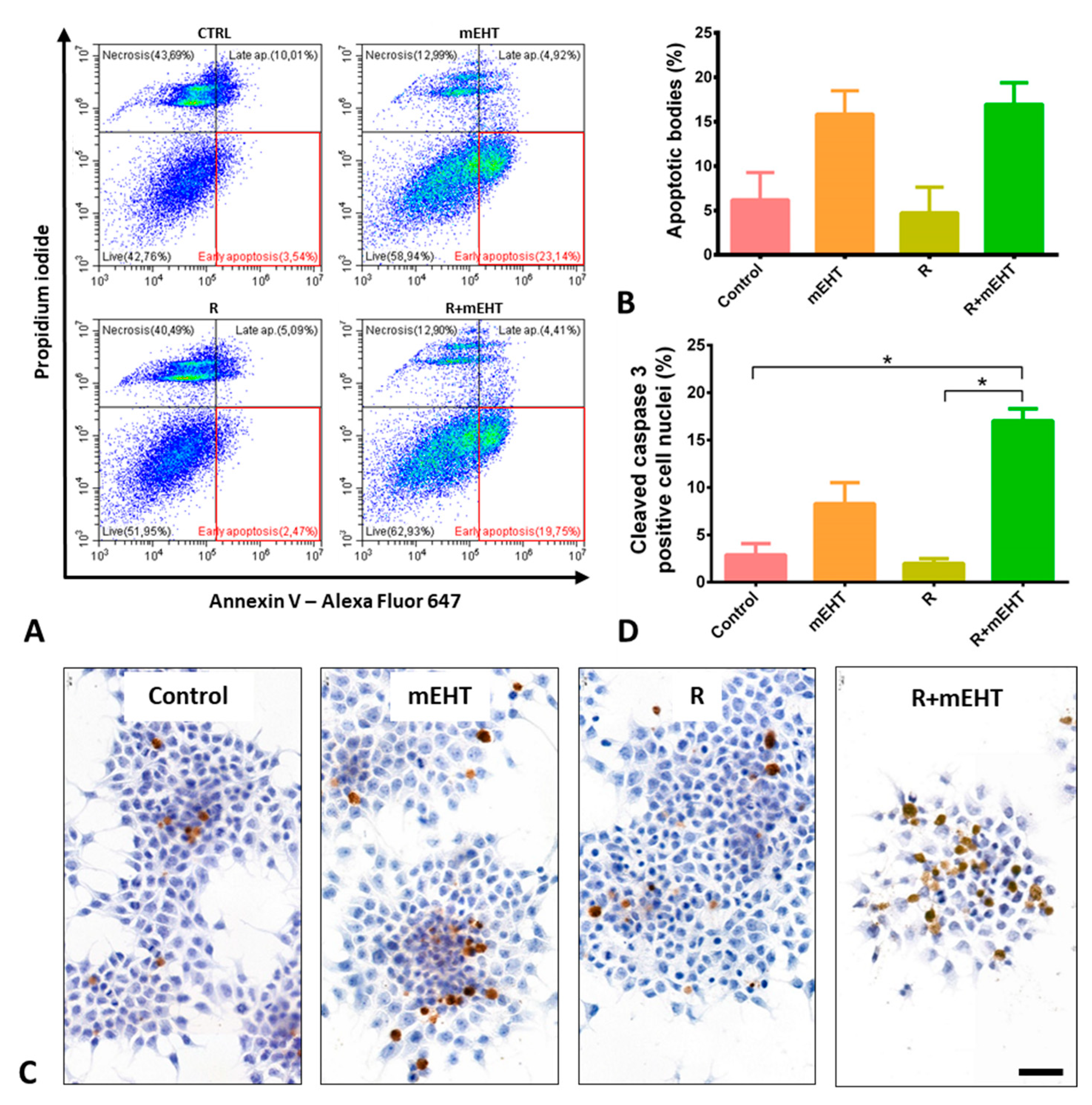 Ijms 21 05100 g002 Ijms 21 05100 g002