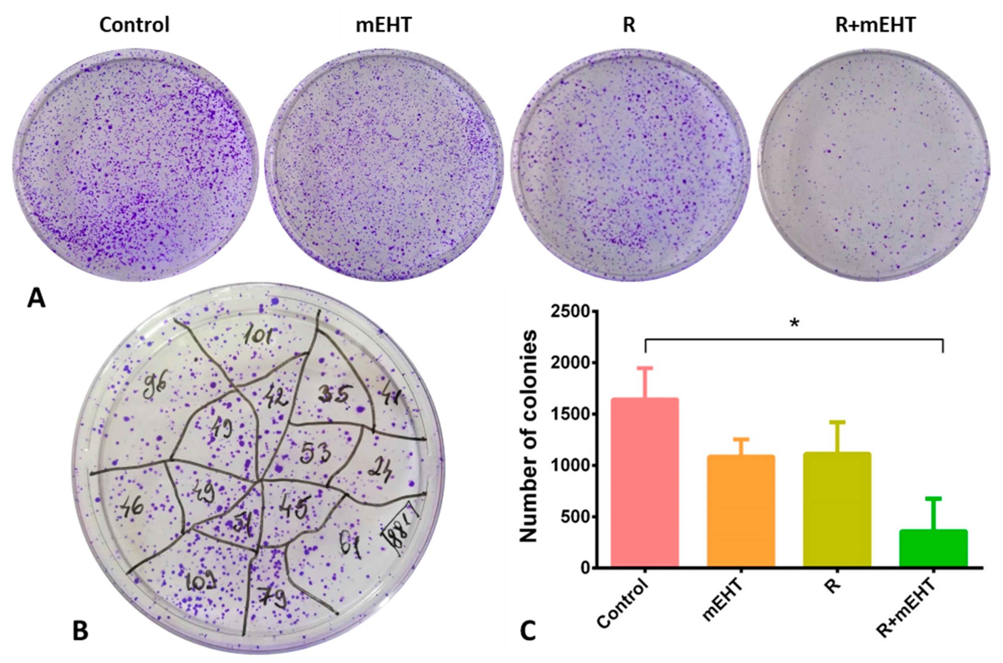 Ijms 21 05100 g003 Ijms 21 05100 g003