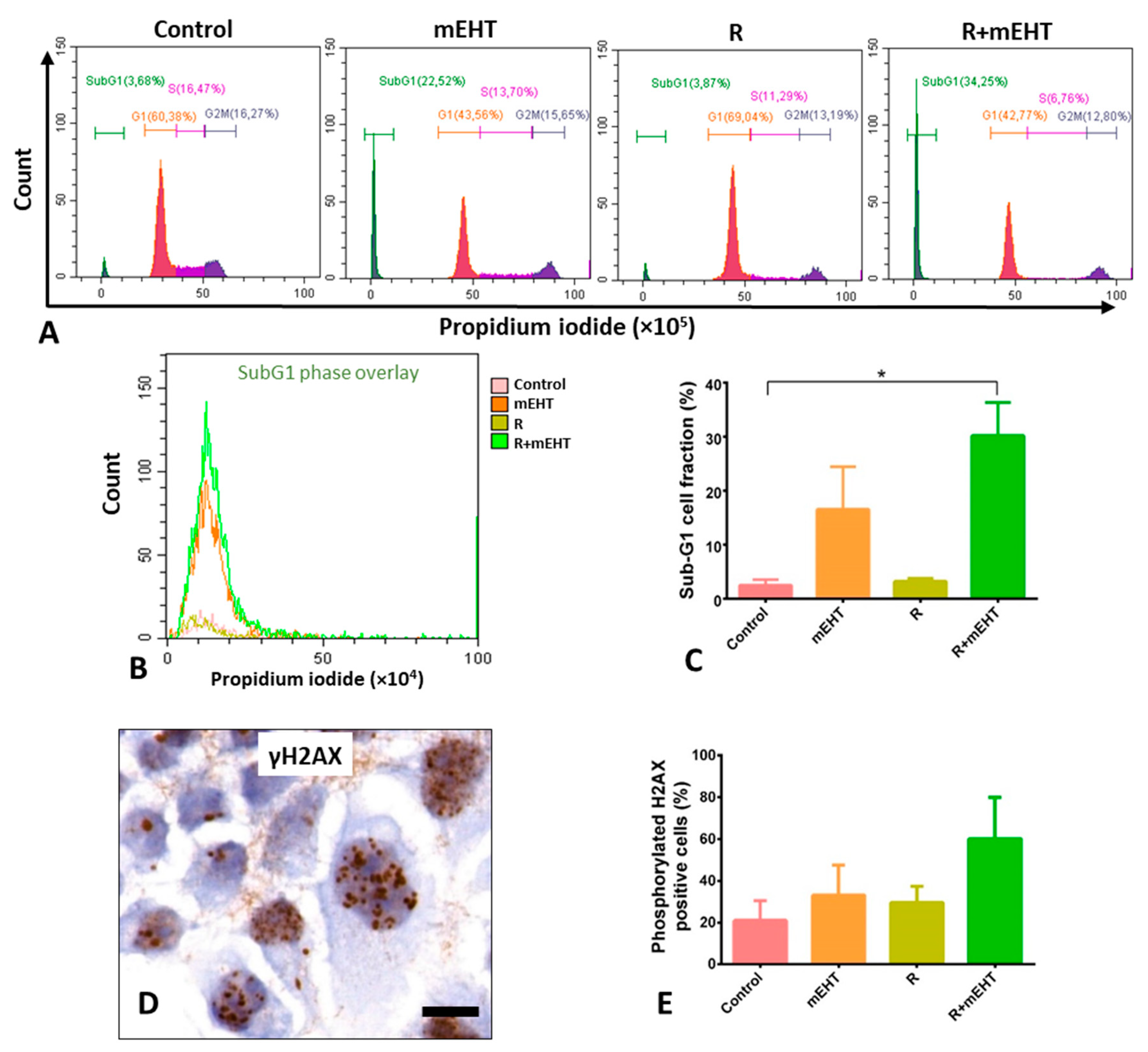 Ijms 21 05100 g005 Ijms 21 05100 g005