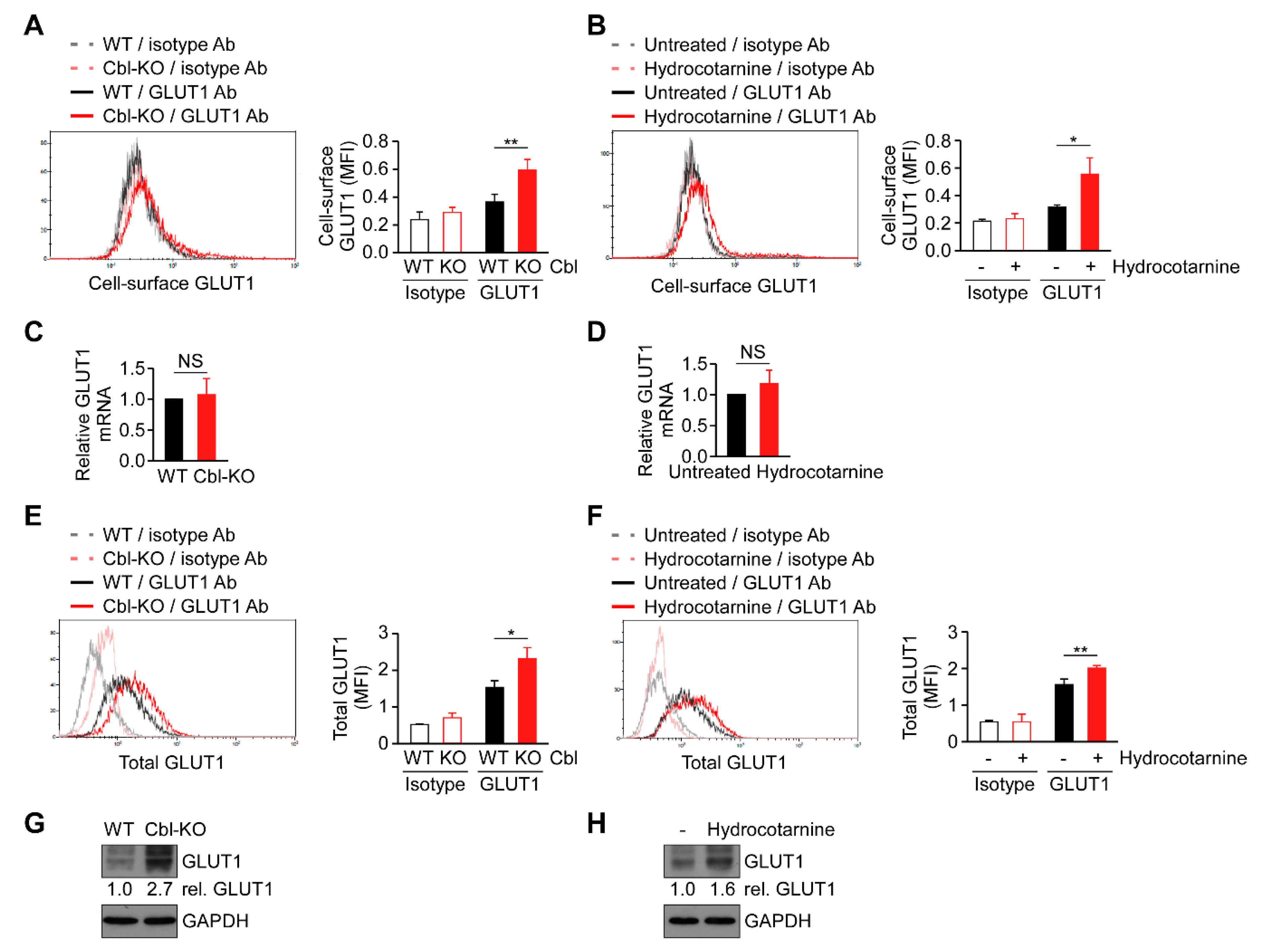 Ijms 21 05104 g005 Ijms 21 05104 g005