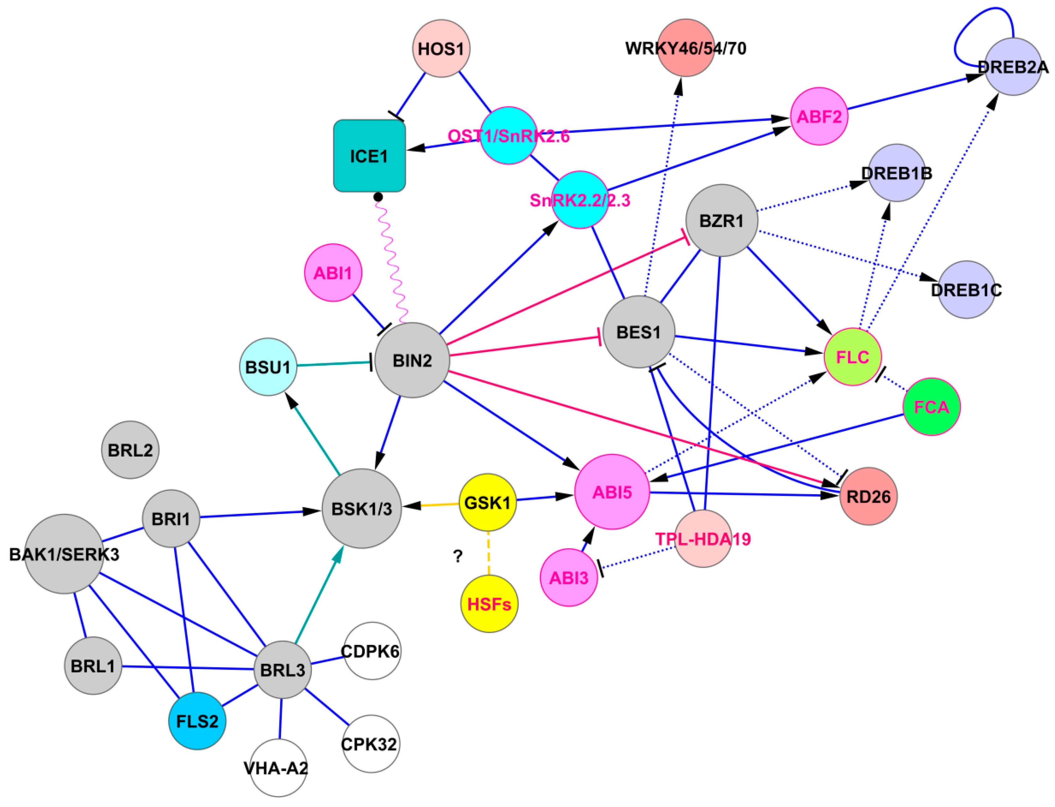 Ijms Free Full Text Linking Brassinosteroid And Aba Signaling In The Context Of Stress Acclimation Html