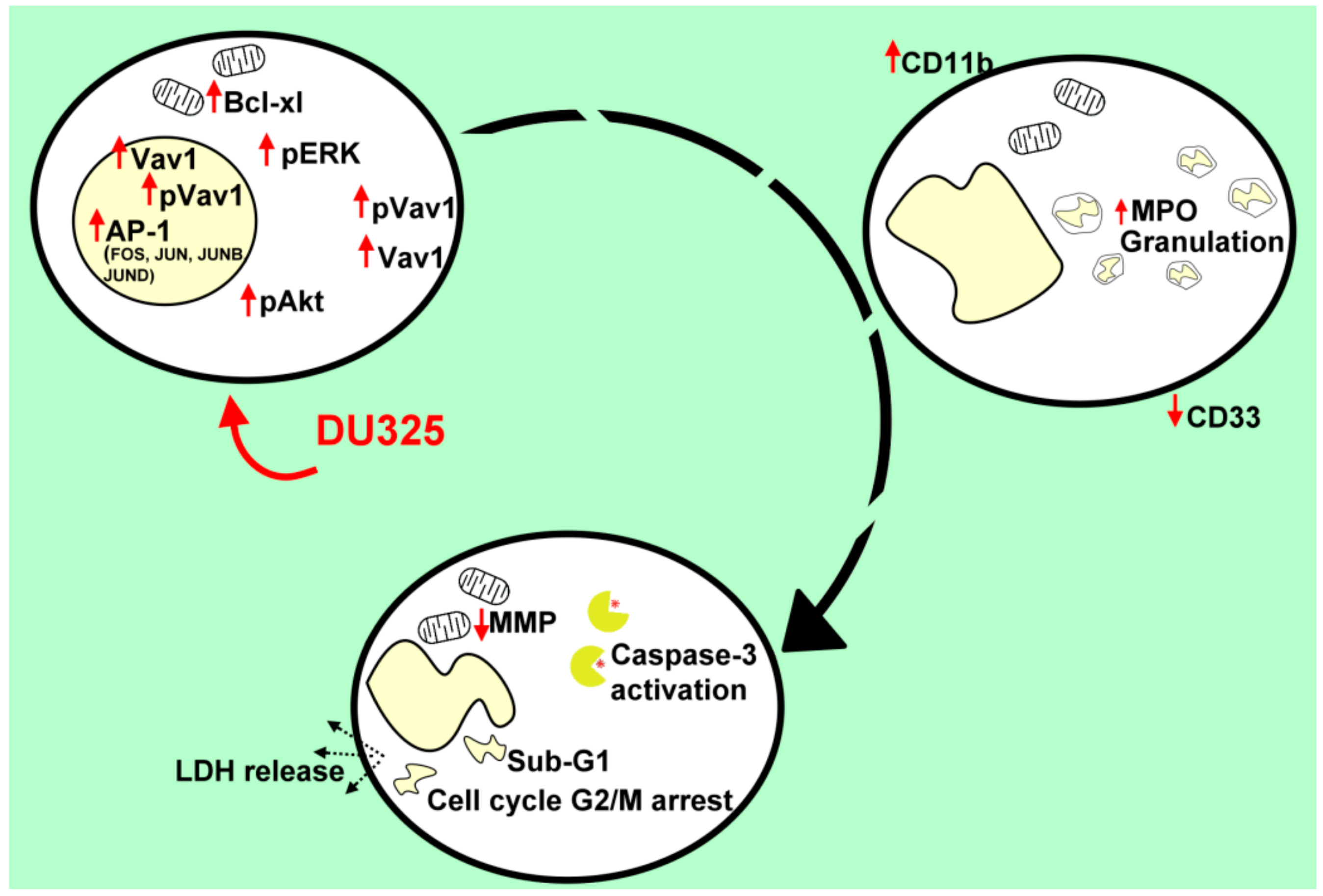 Ijms 21 05135 g010 Ijms 21 05135 g010