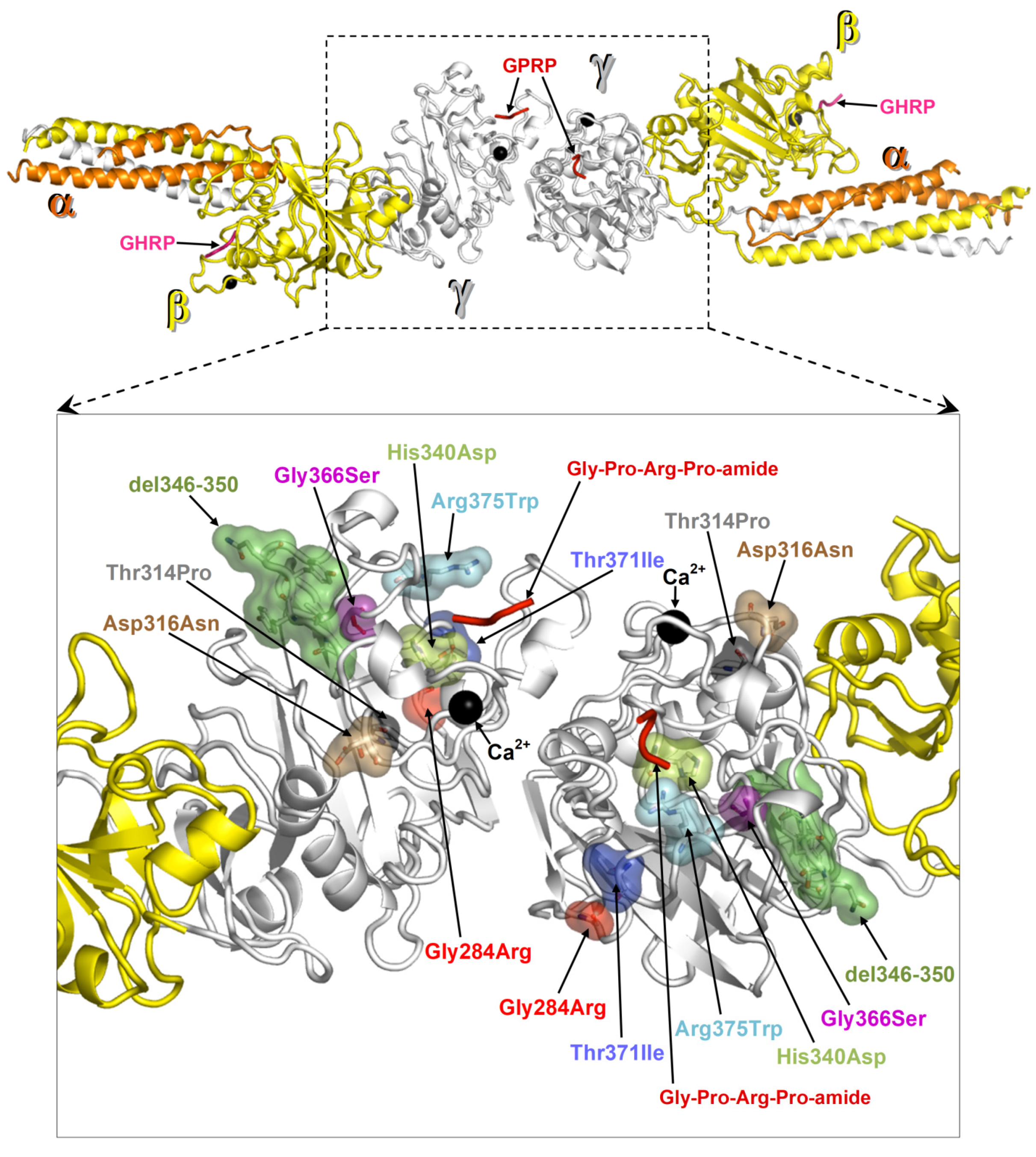 Ijms 21 05139 g002 Ijms 21 05139 g002