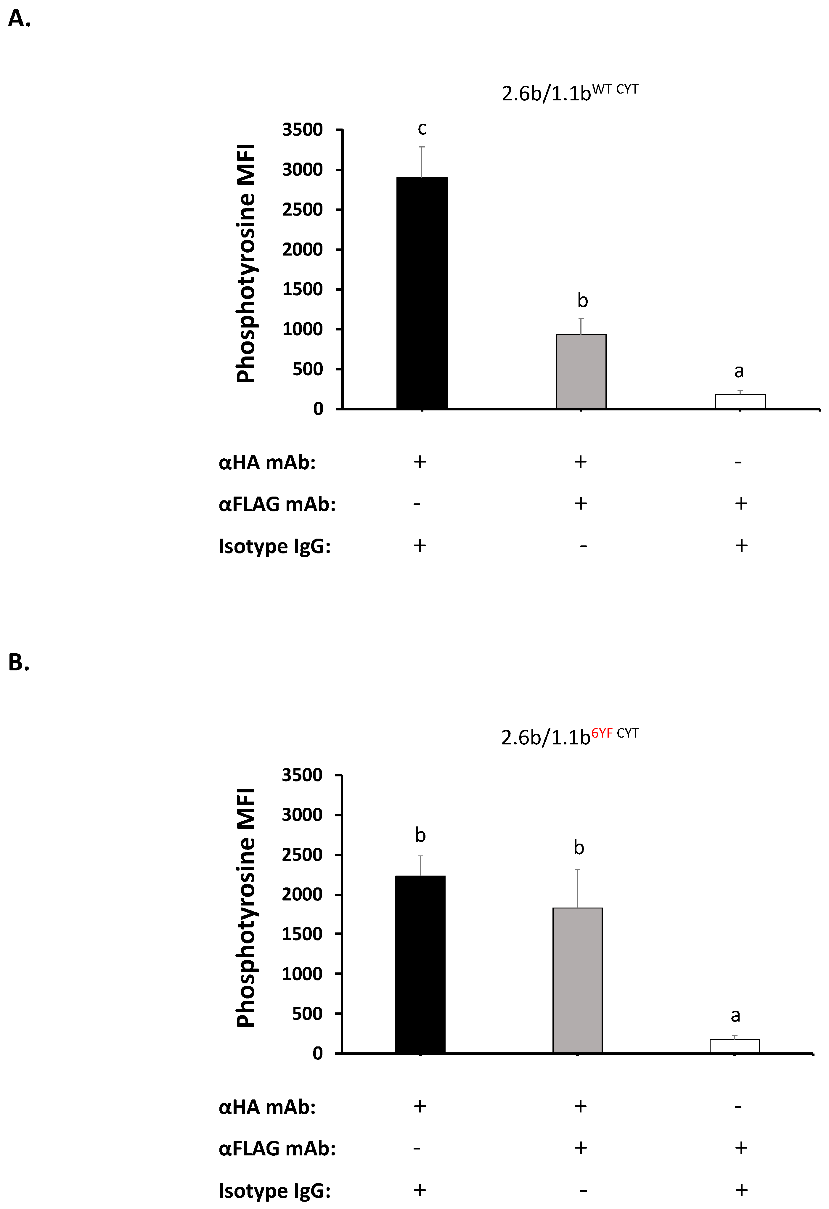 Ijms 21 05146 g003 Ijms 21 05146 g003