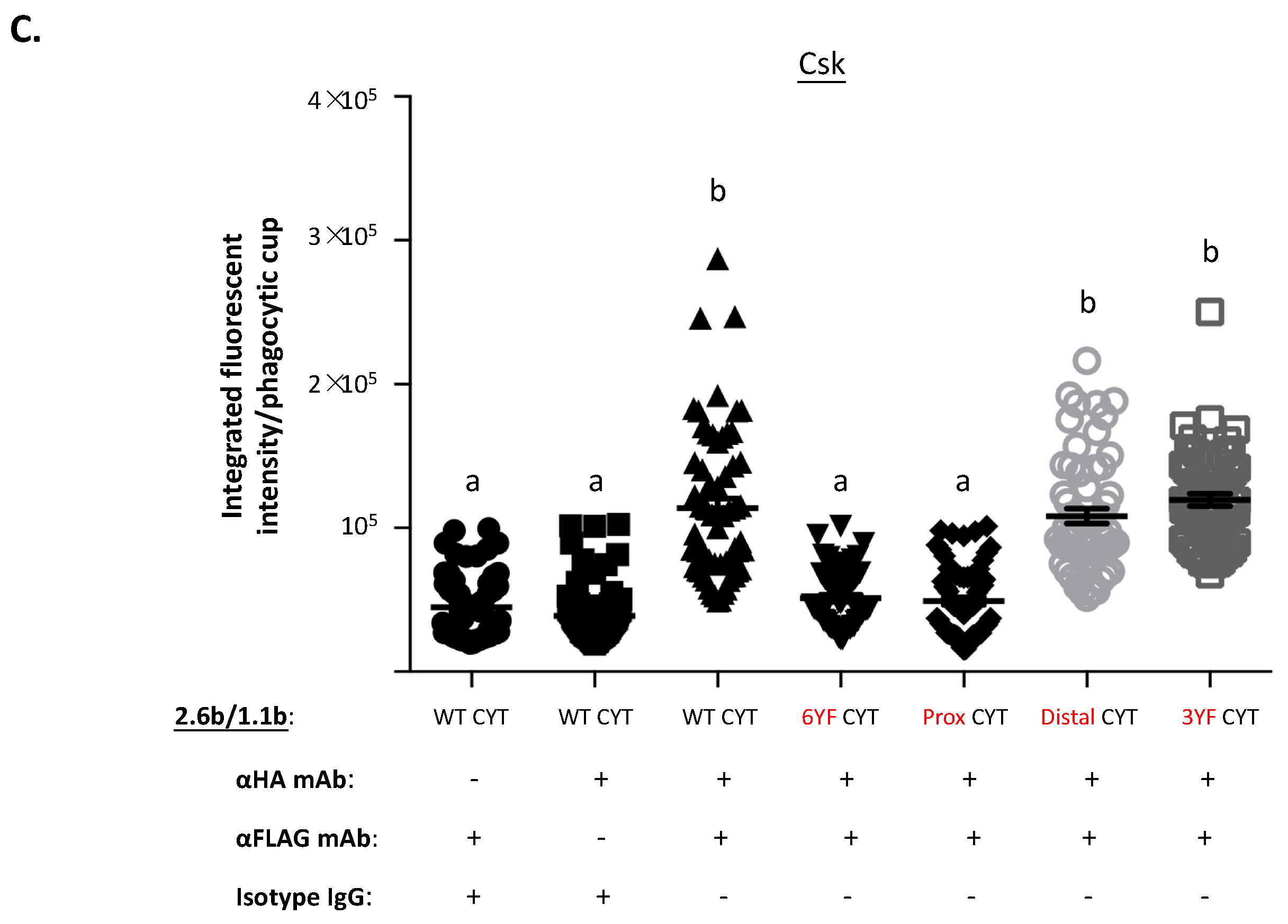Ijms 21 05146 g005b Ijms 21 05146 g005b