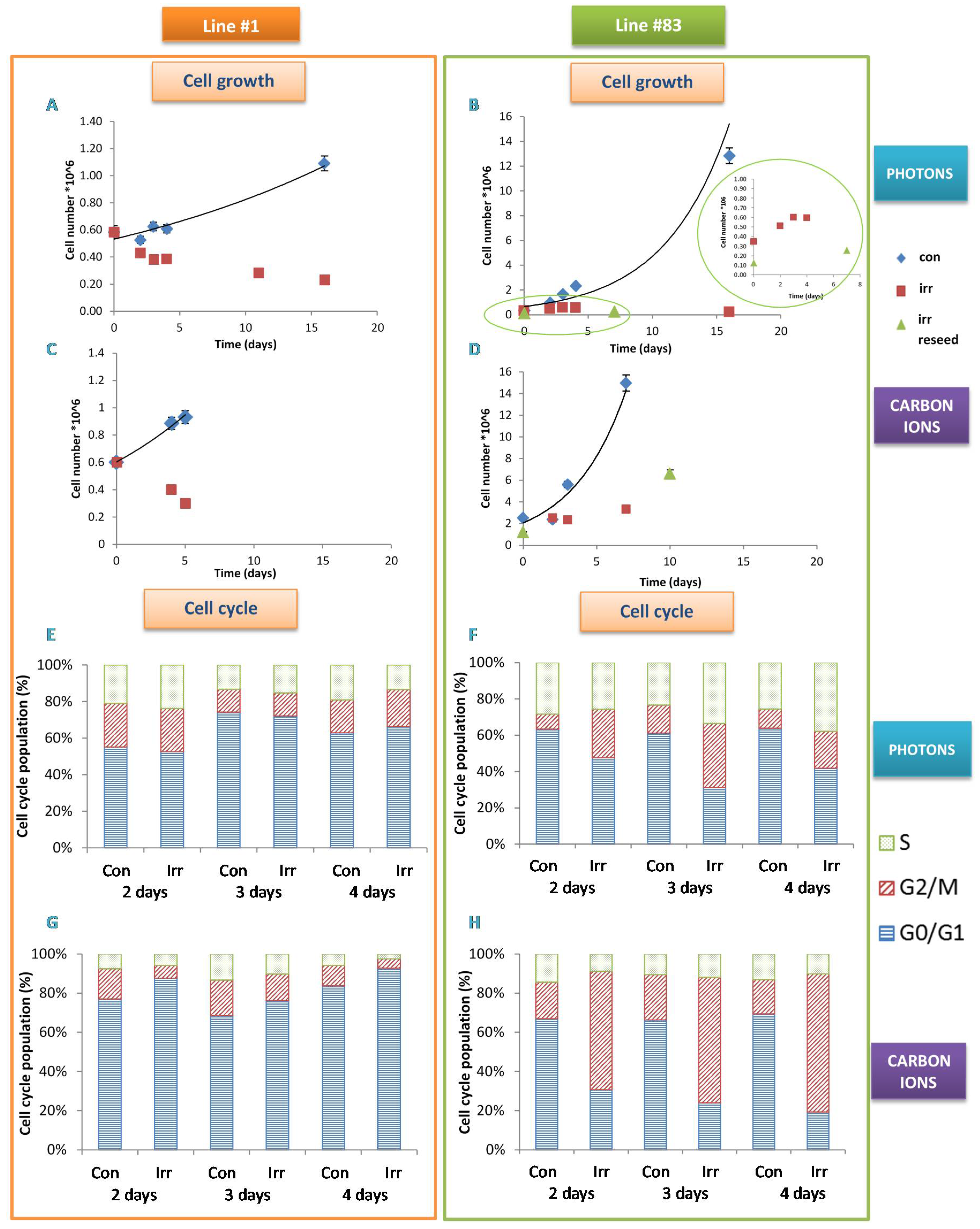Ijms 21 05167 g001 Ijms 21 05167 g001