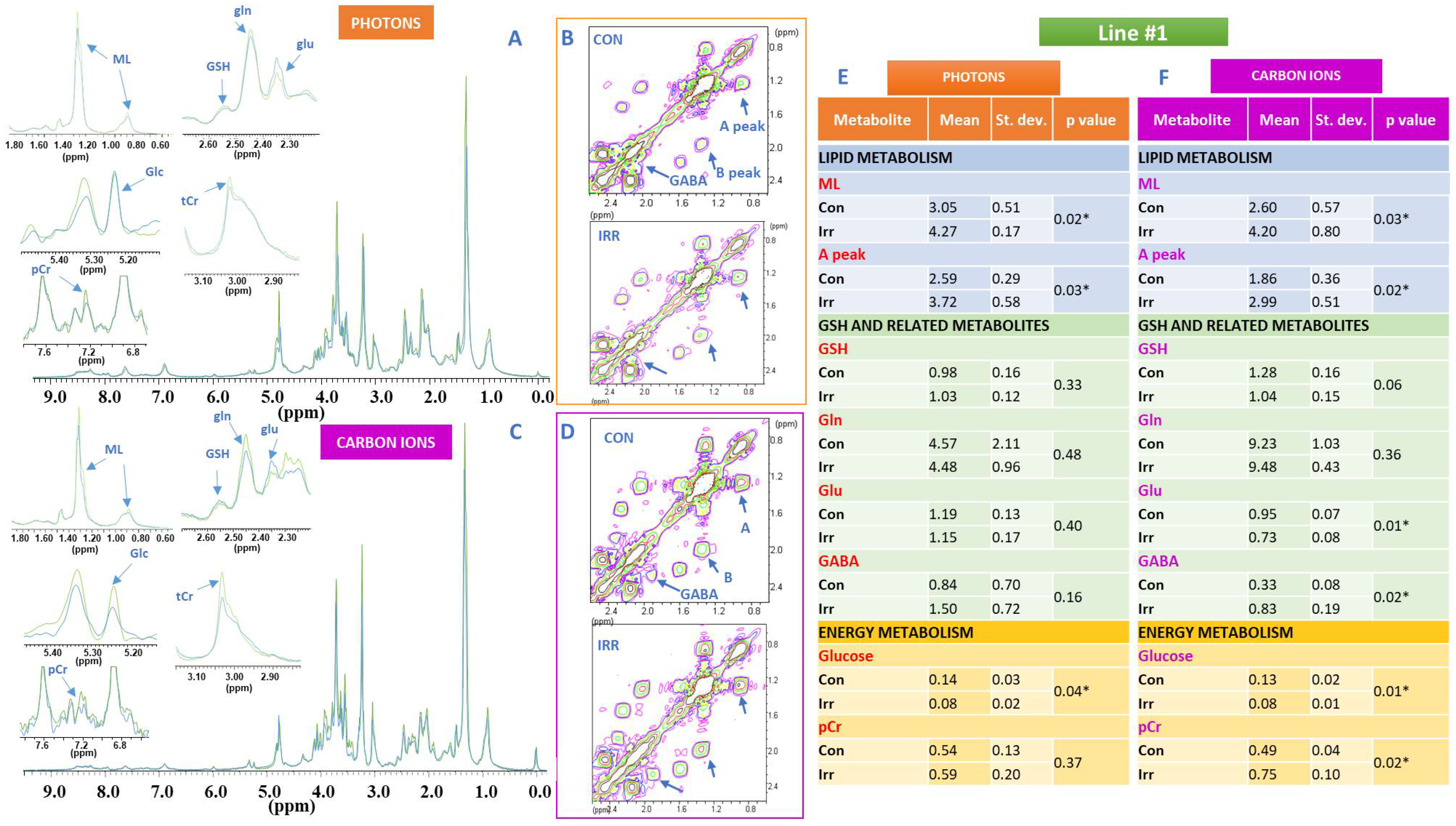 Ijms 21 05167 g002 Ijms 21 05167 g002