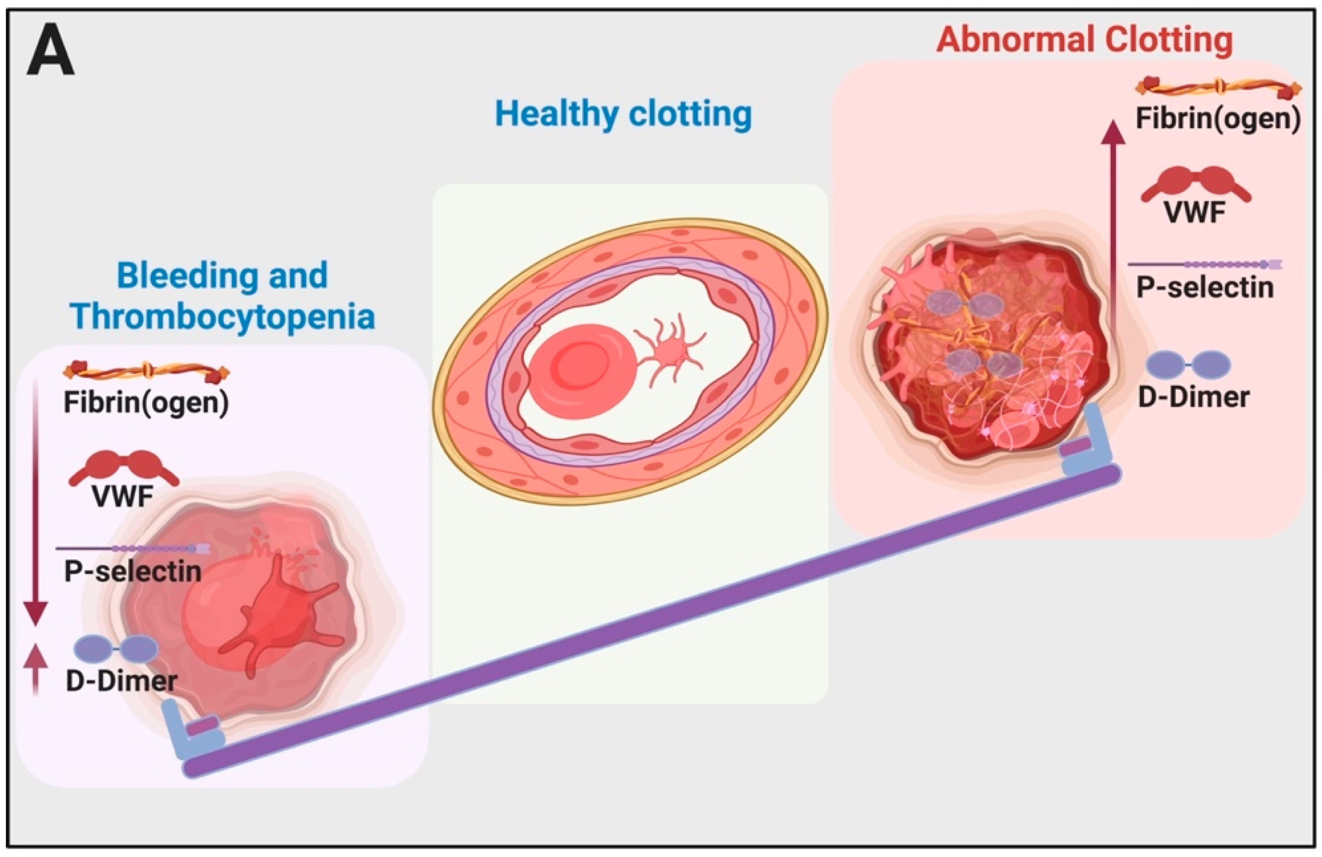 Ijms 21 05168 g002a Ijms 21 05168 g002a