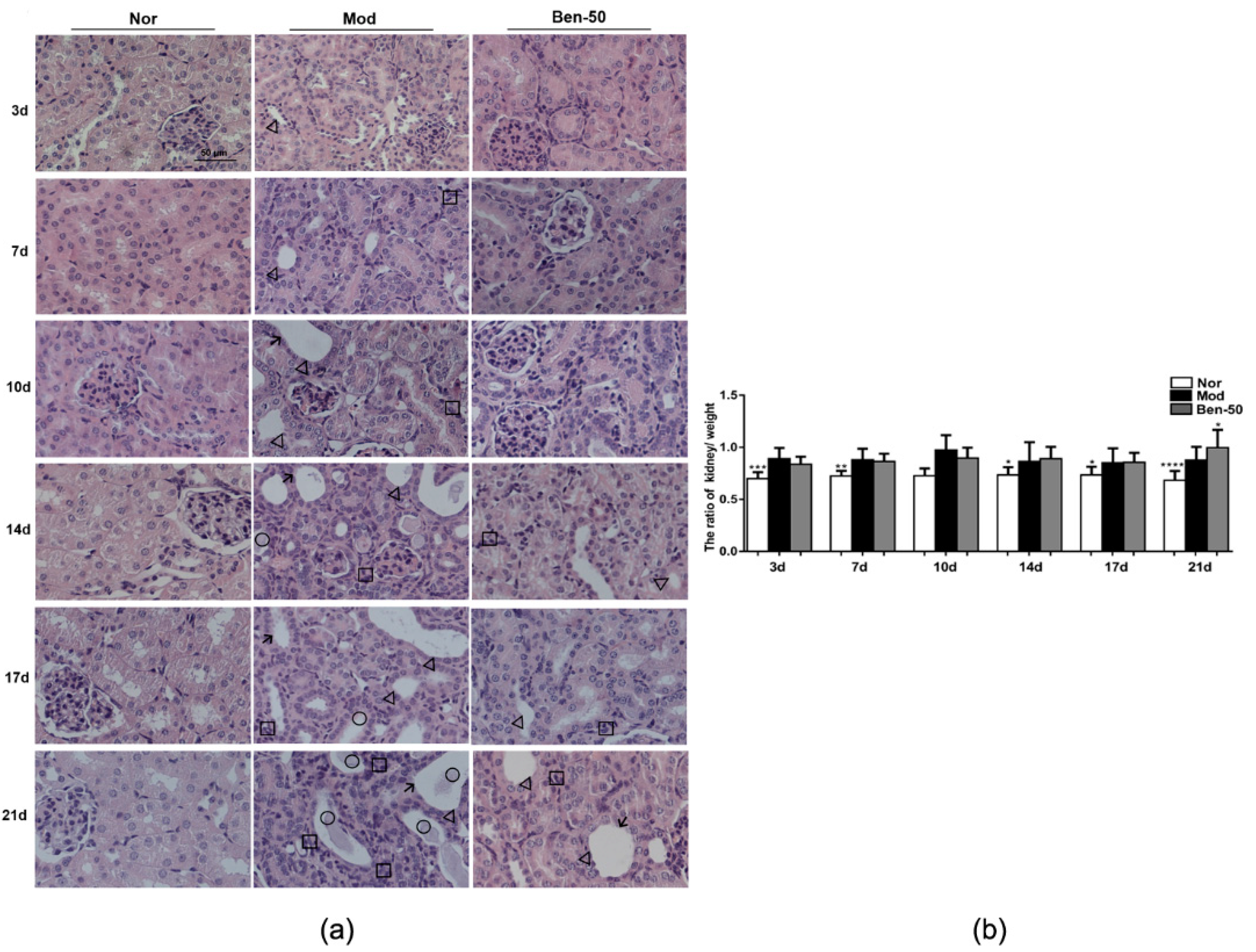 Ijms 21 05178 g003 Ijms 21 05178 g003