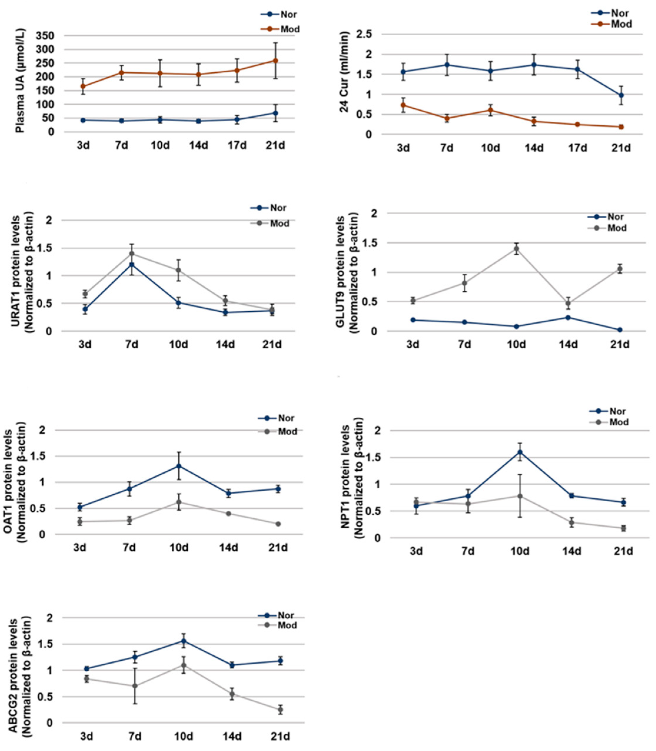 Ijms 21 05178 g005 Ijms 21 05178 g005