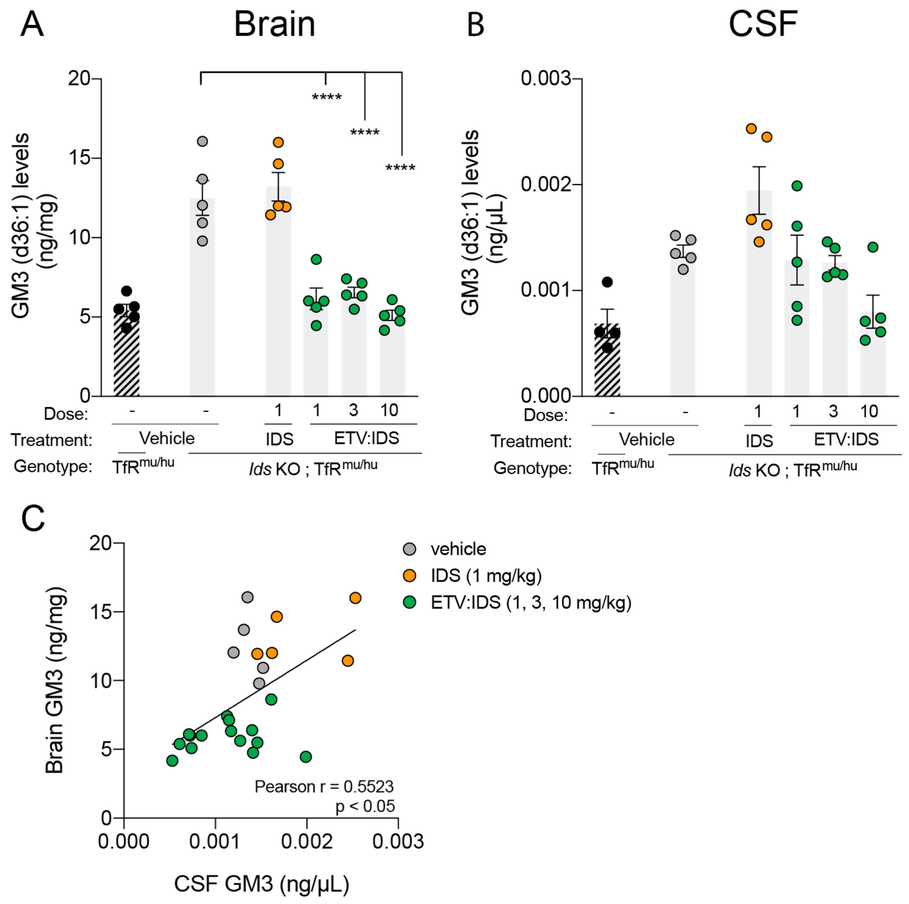 Ijms 21 05188 g002 Ijms 21 05188 g002