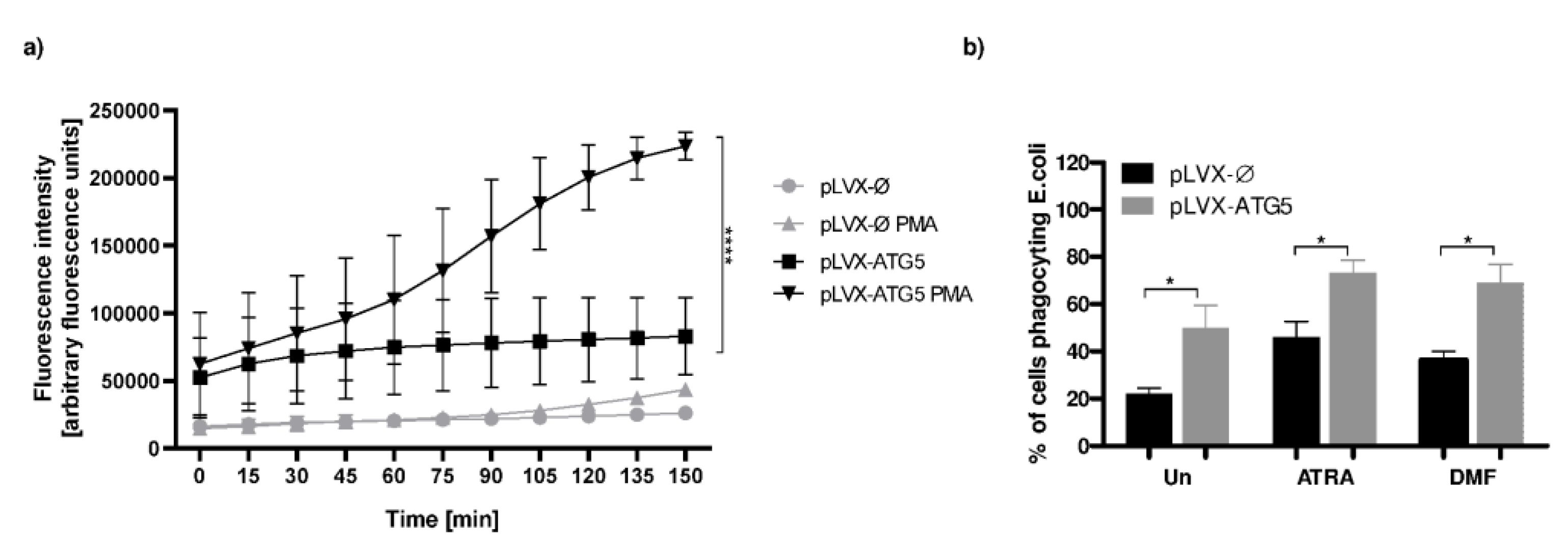 Ijms 21 05194 g004 Ijms 21 05194 g004