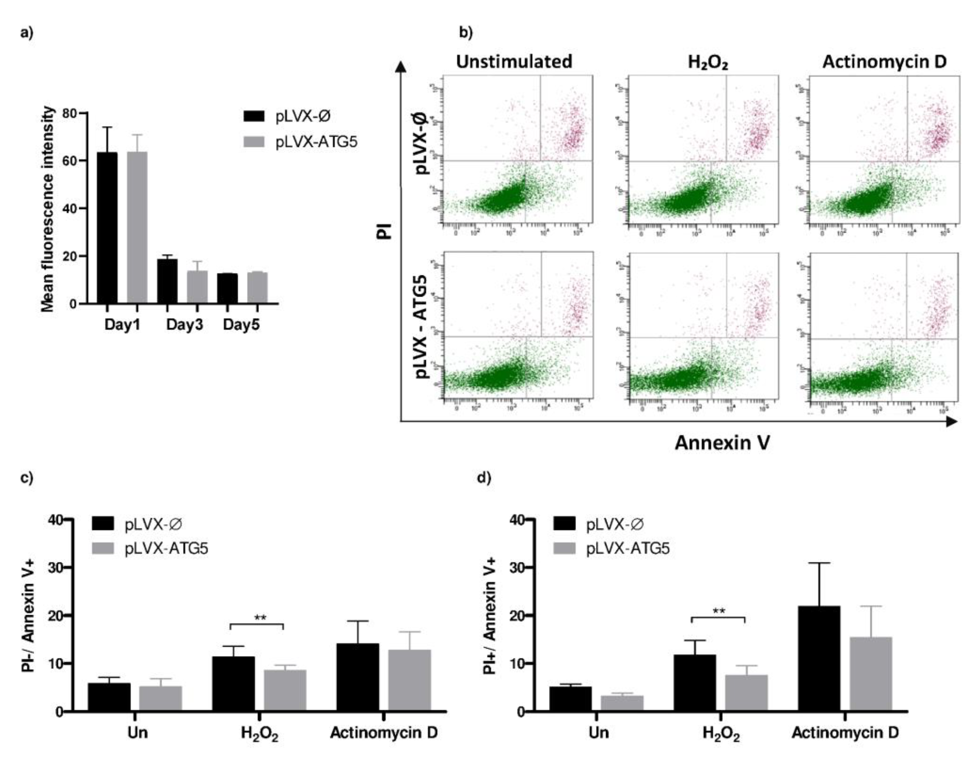 Ijms 21 05194 g005 Ijms 21 05194 g005