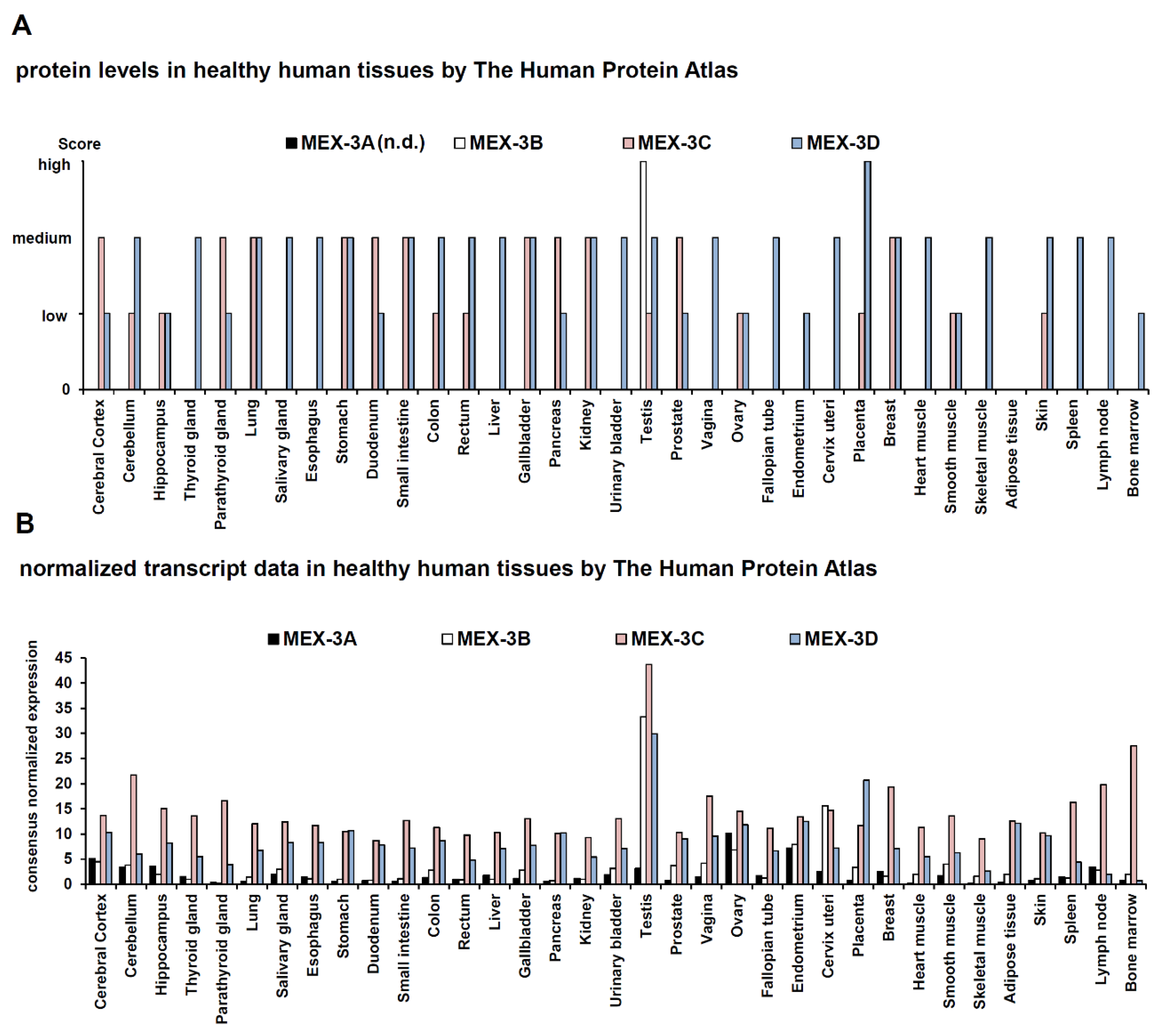 Ijms 21 05209 g001 Ijms 21 05209 g001