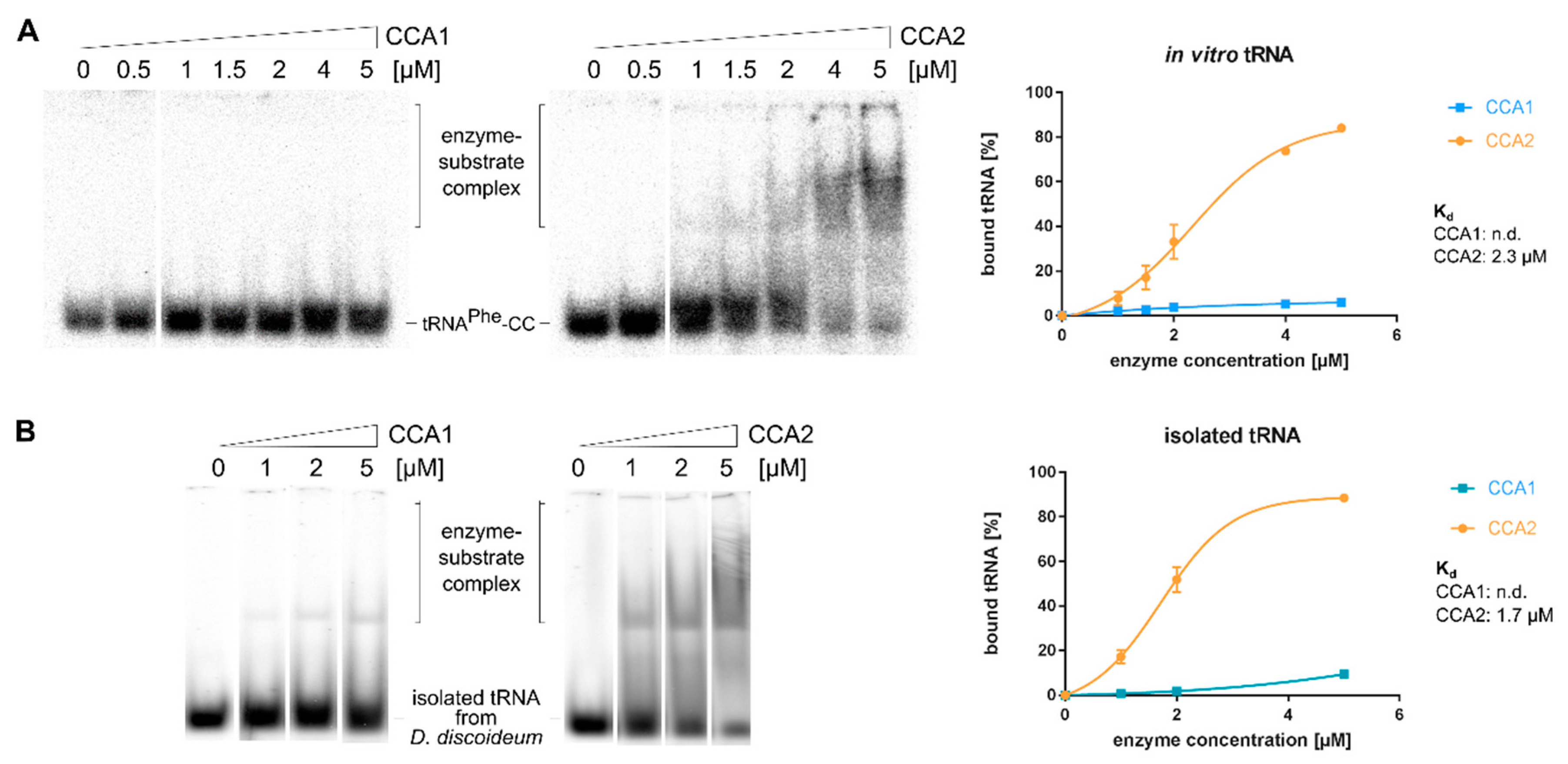 Ijms 21 05210 g005 Ijms 21 05210 g005