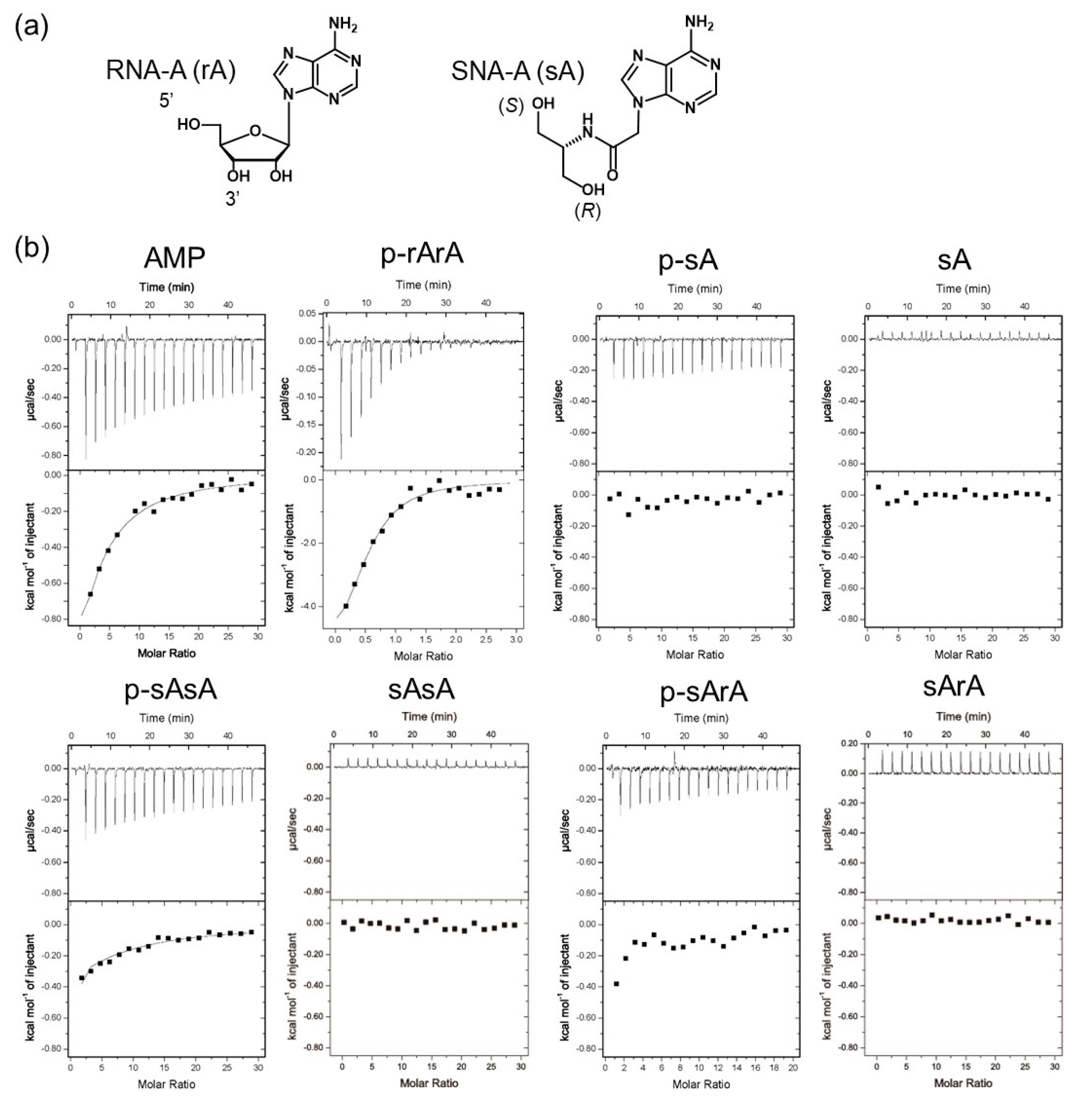 Ijms 21 05218 g002 Ijms 21 05218 g002