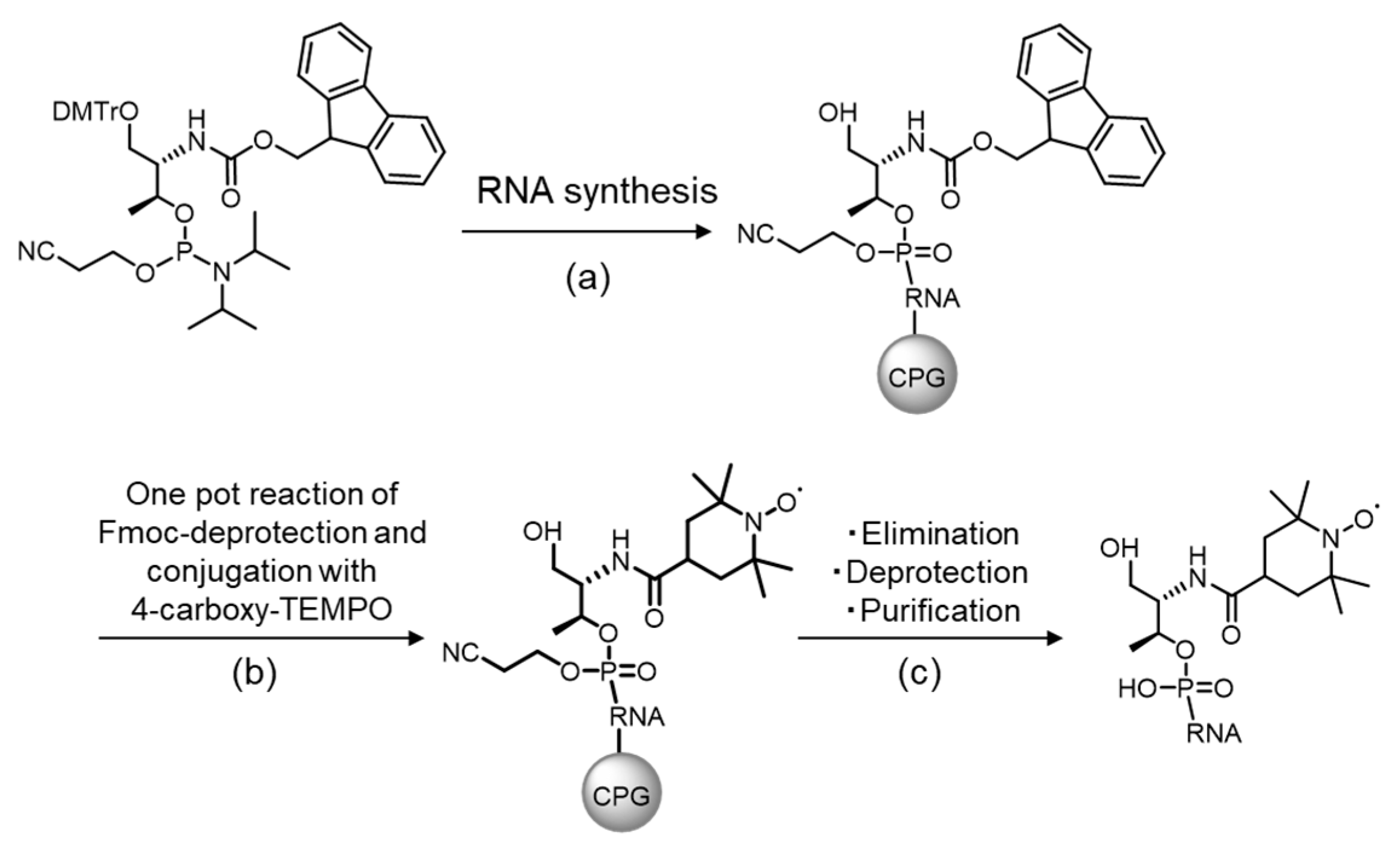 Ijms 21 05218 g004 Ijms 21 05218 g004