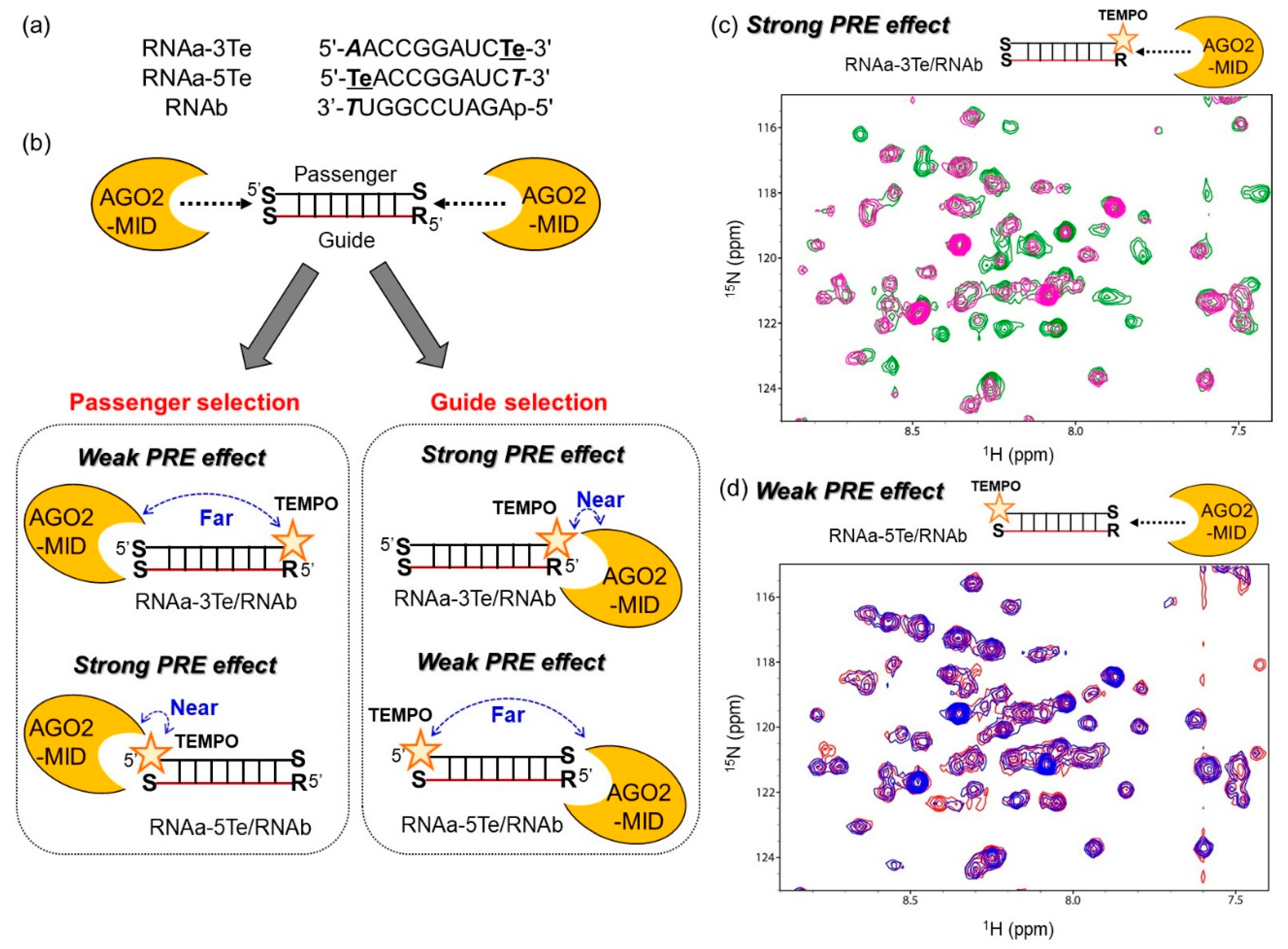 Ijms 21 05218 g005 Ijms 21 05218 g005