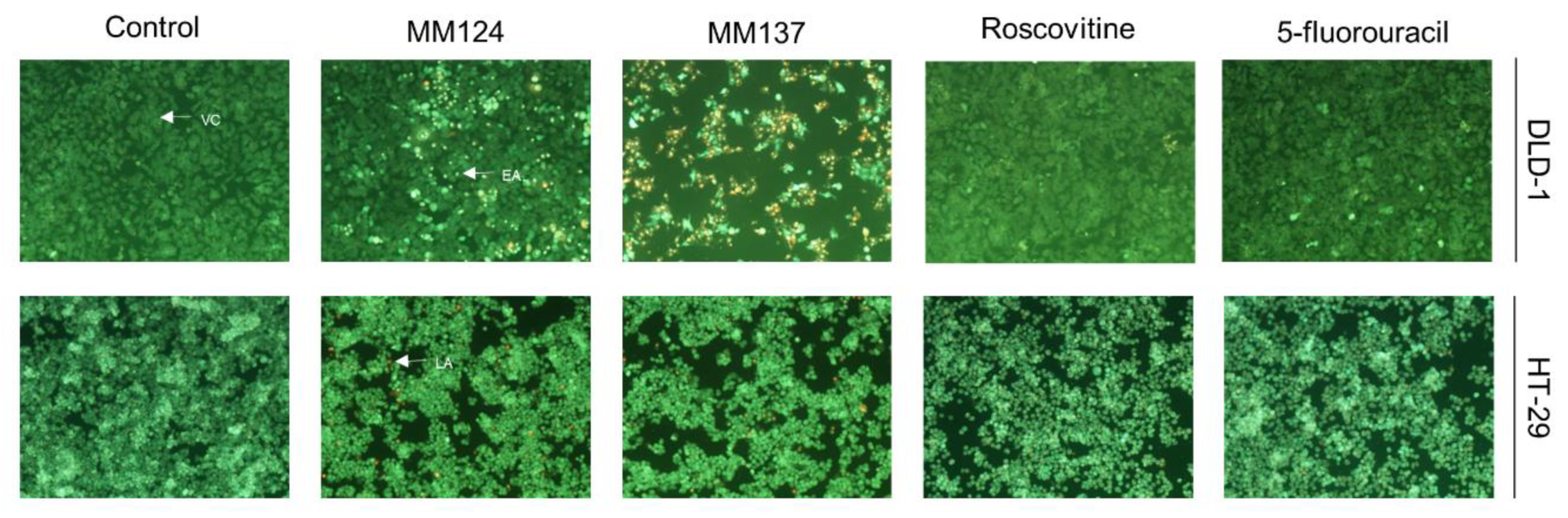 Ijms 21 05221 g004 Ijms 21 05221 g004