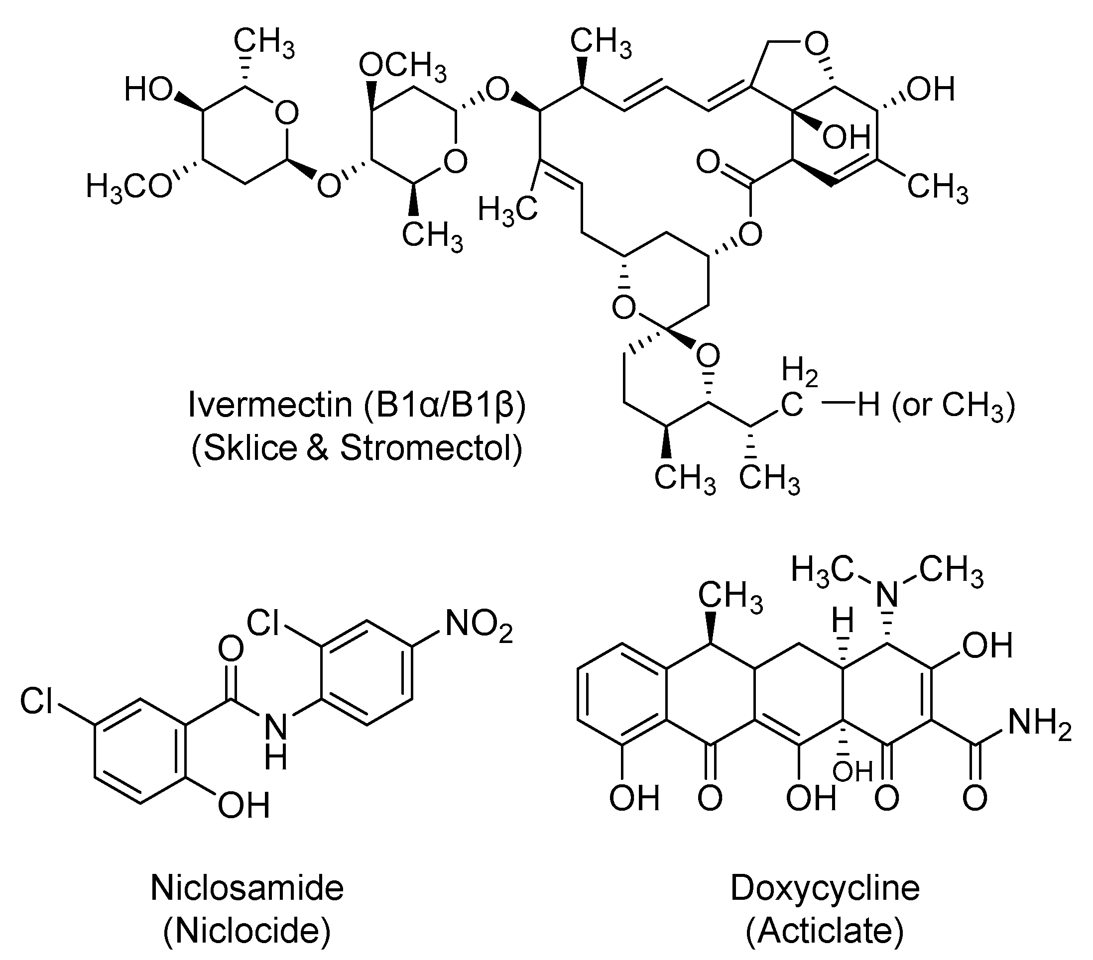 Ijms 21 05224 g008 Ijms 21 05224 g008