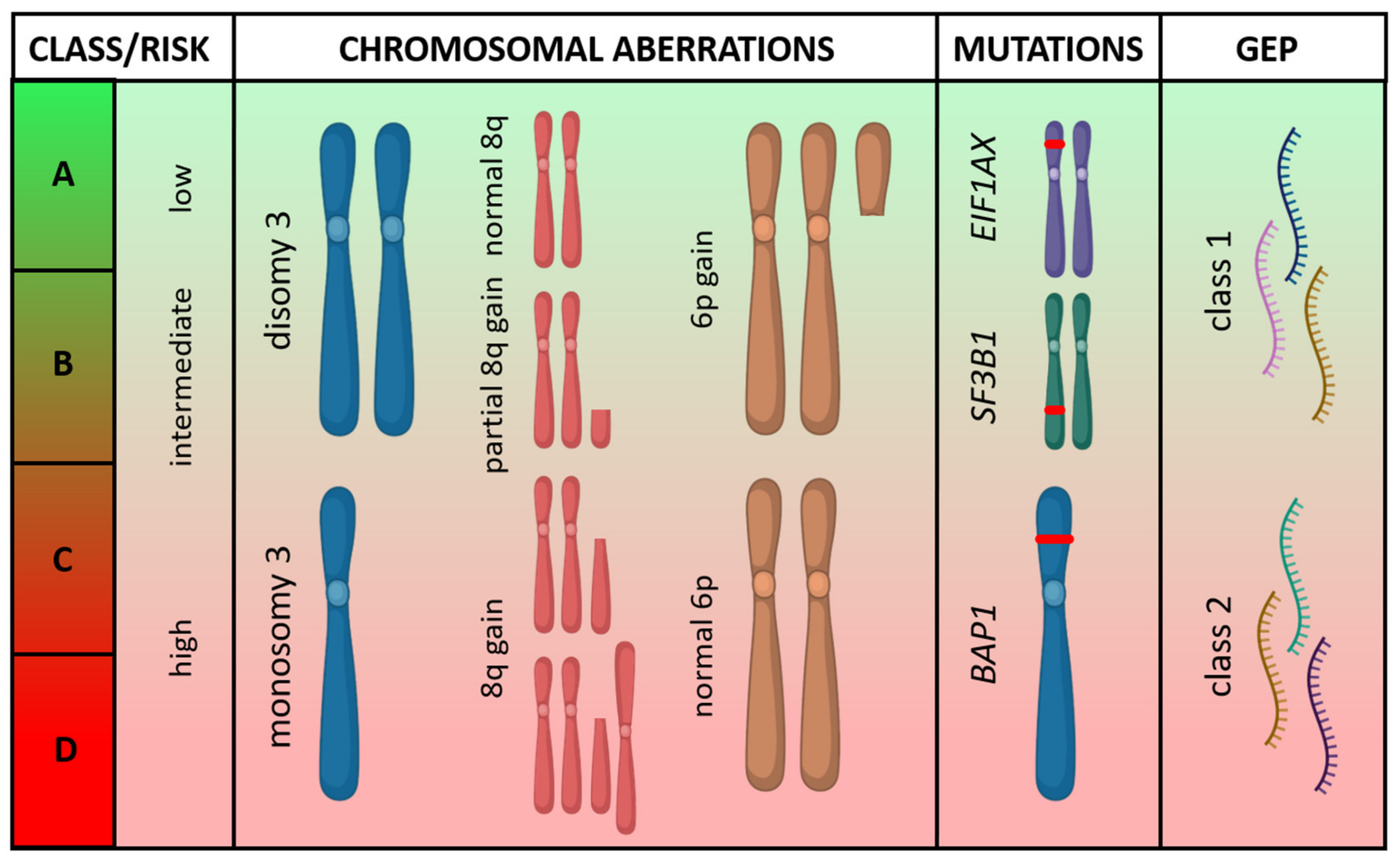 Ijms 21 05231 g002 Ijms 21 05231 g002