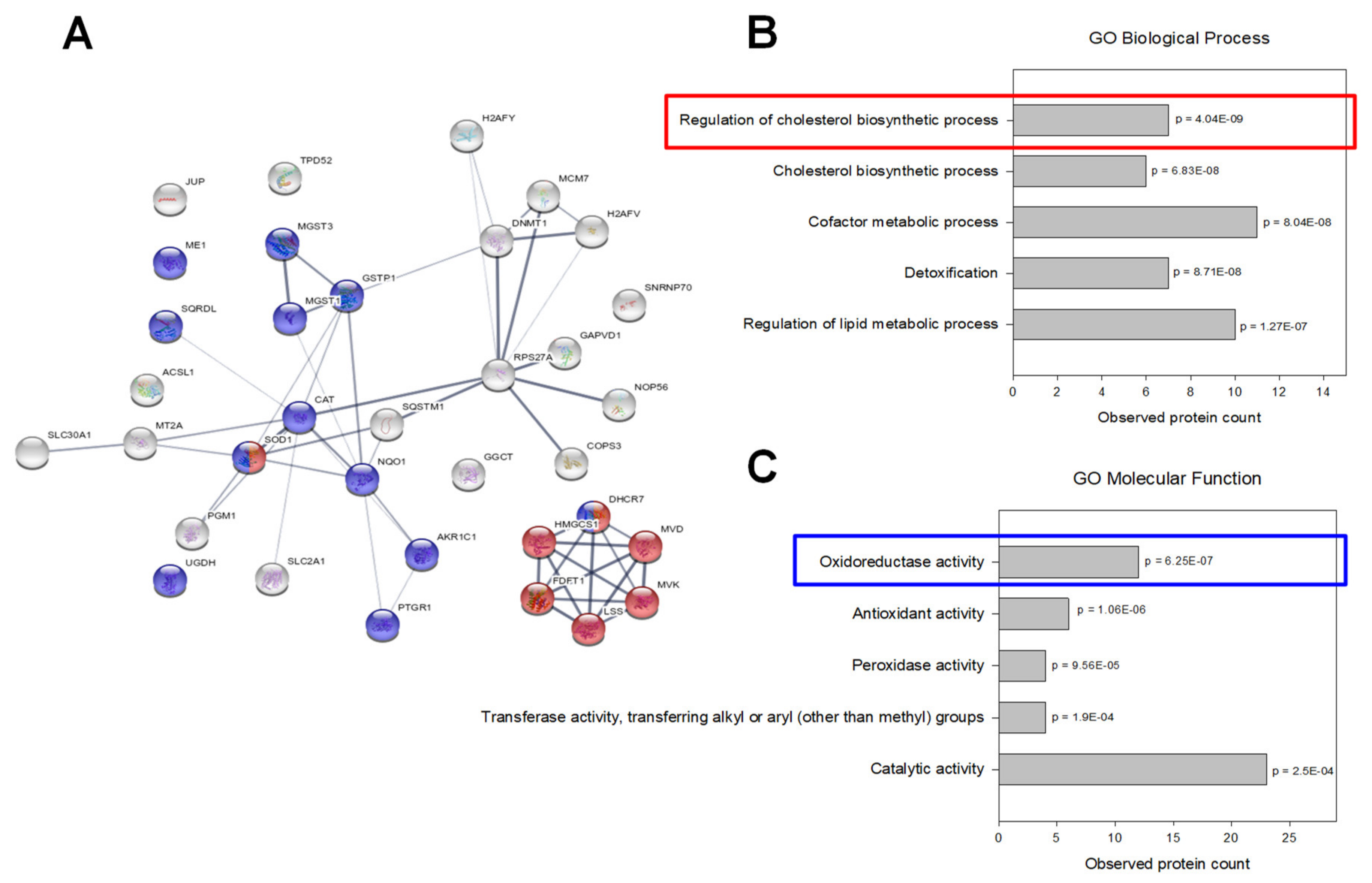 Ijms 21 05234 g005 Ijms 21 05234 g005