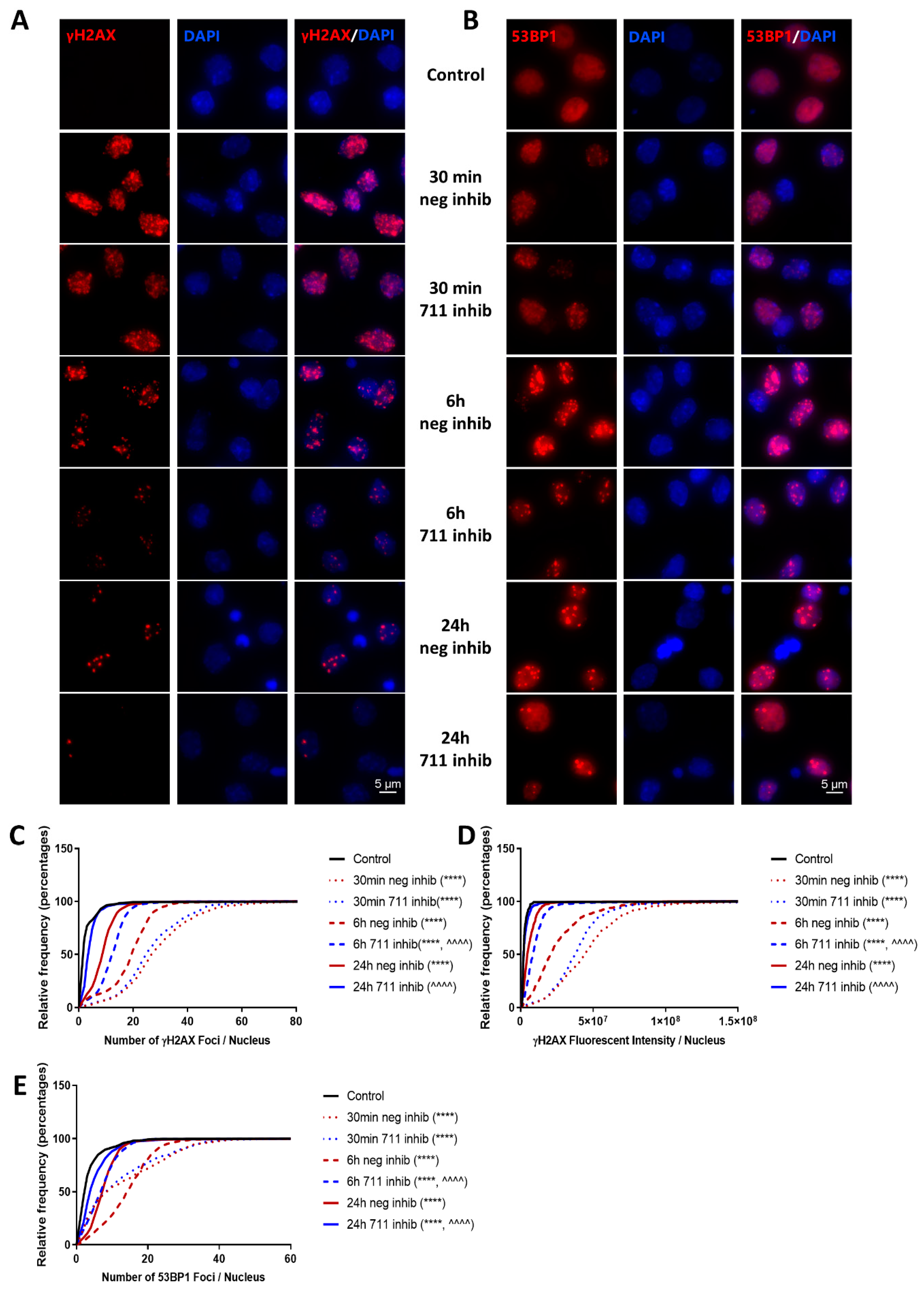 Ijms 21 05239 g009 Ijms 21 05239 g009