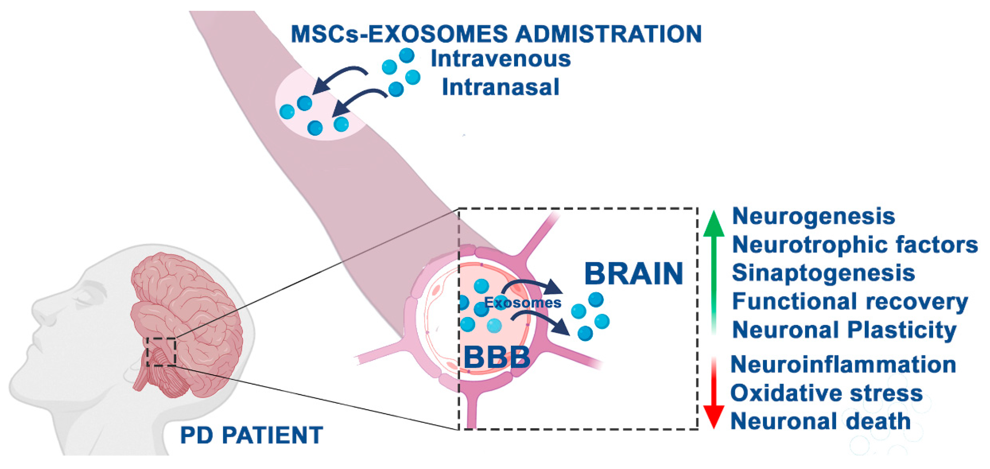 Ijms 21 05241 g002 Ijms 21 05241 g002