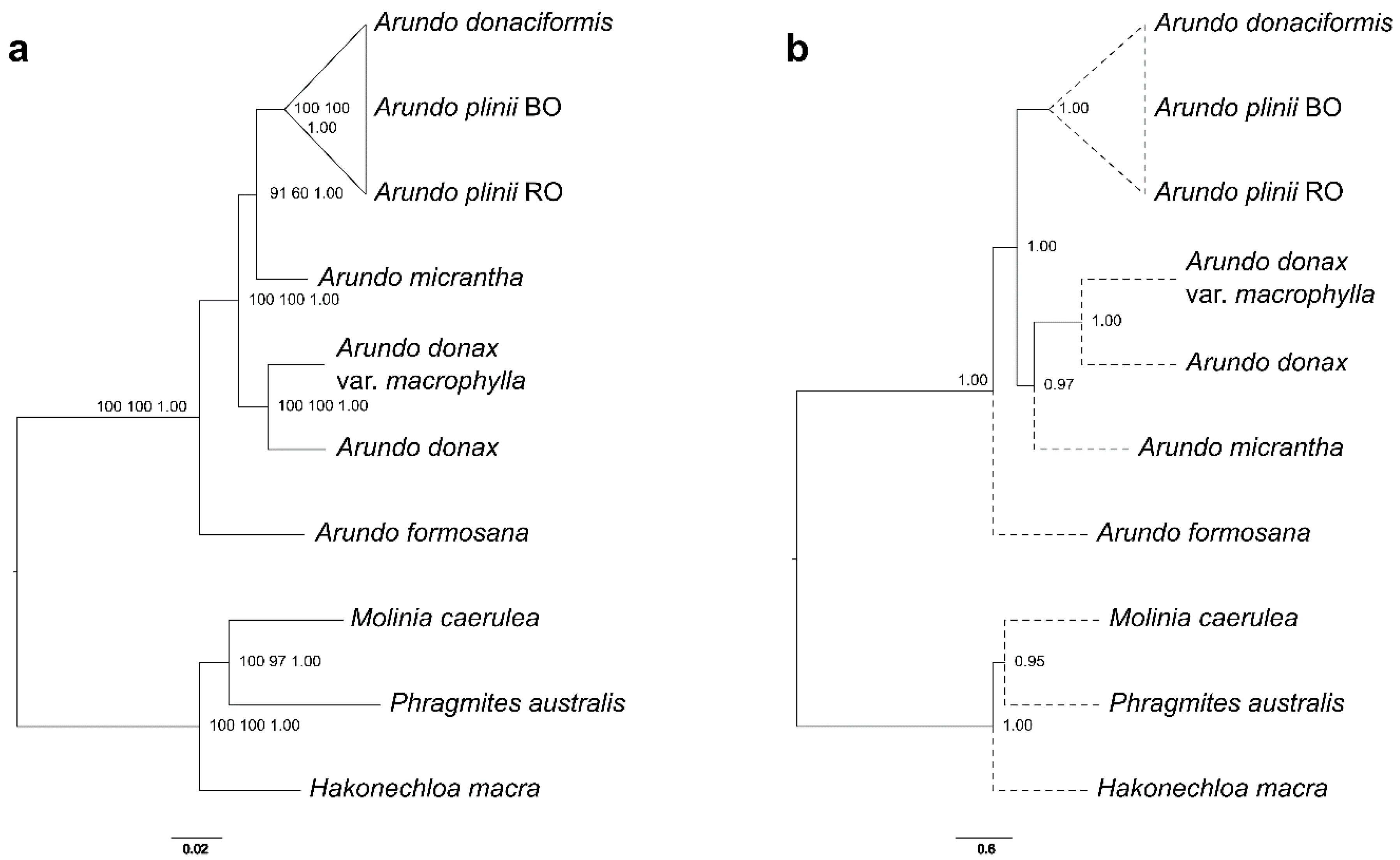 Ijms 21 05247 g001 Ijms 21 05247 g001