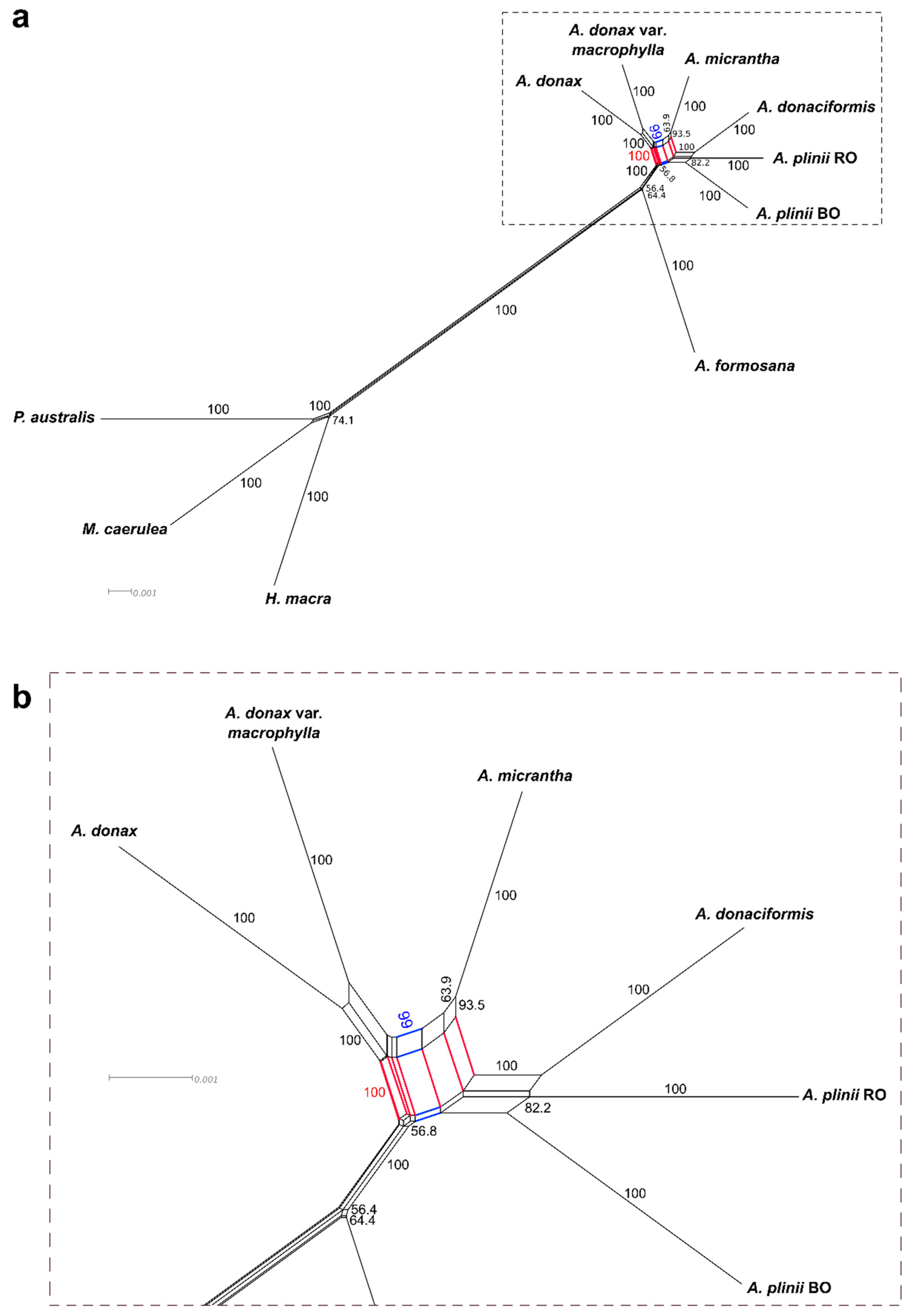 Ijms 21 05247 g002 Ijms 21 05247 g002