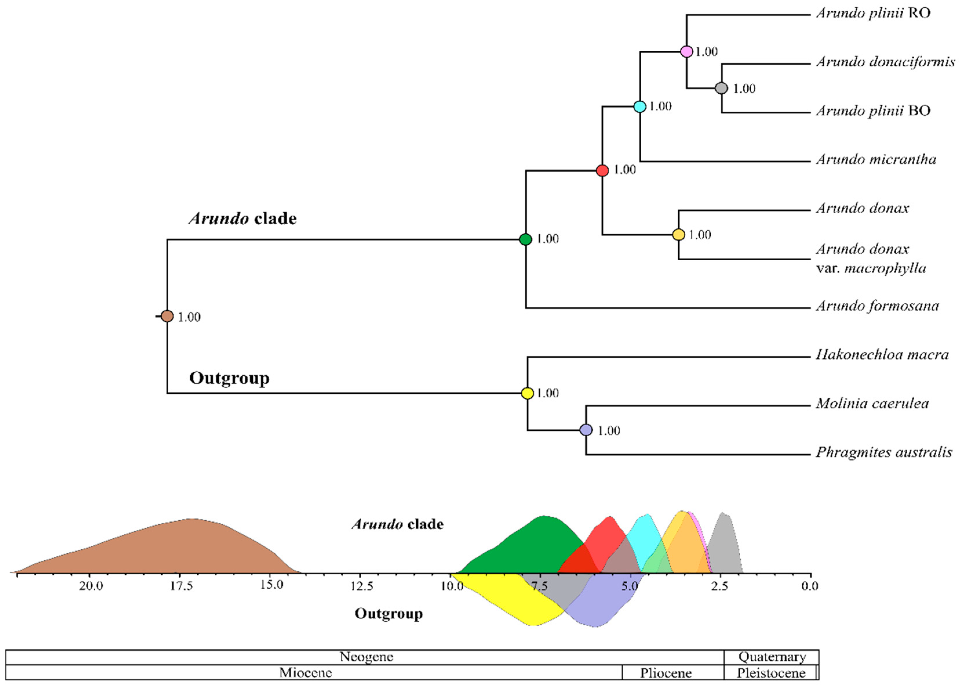 Ijms 21 05247 g004 Ijms 21 05247 g004