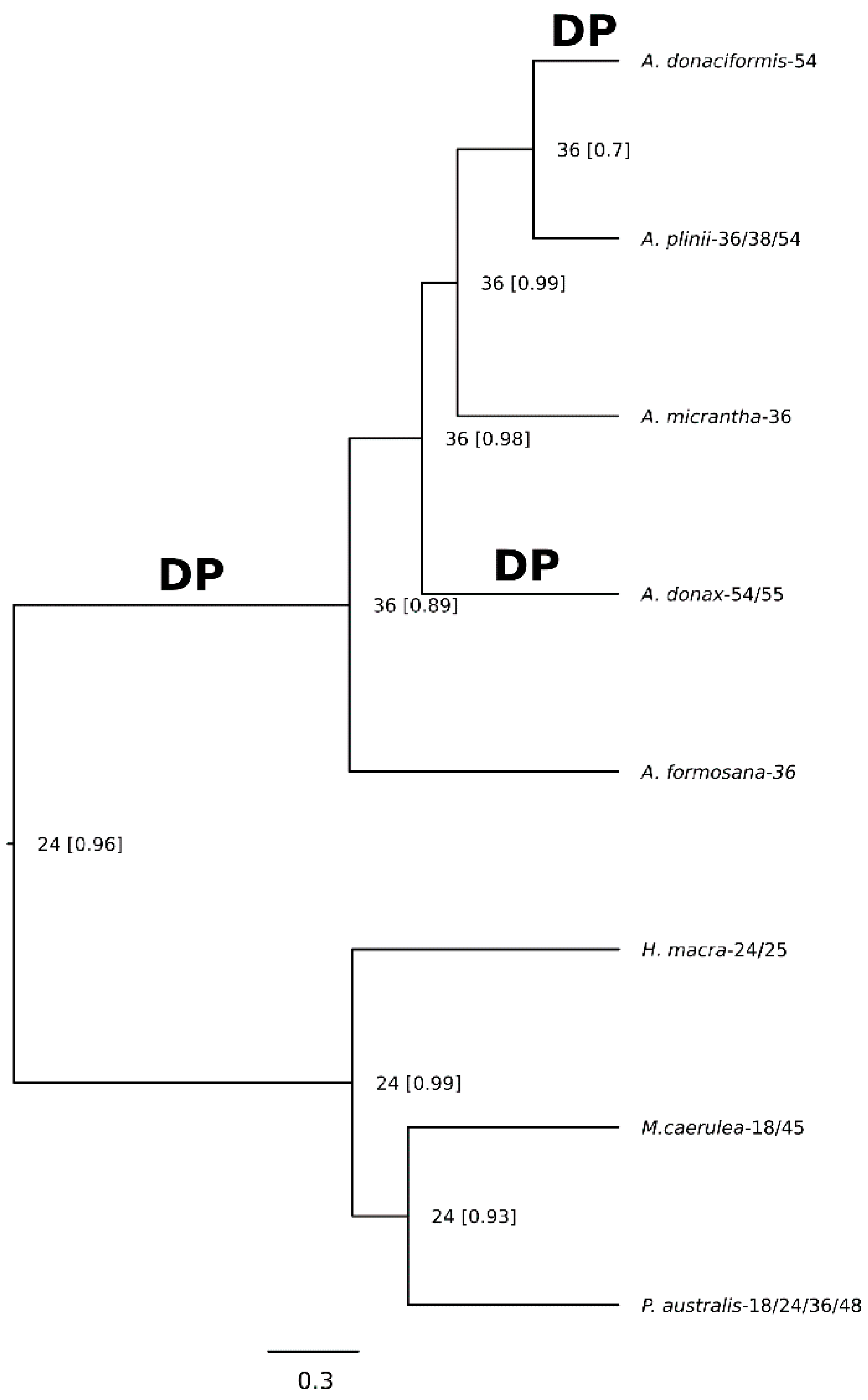 Ijms 21 05247 g005 Ijms 21 05247 g005