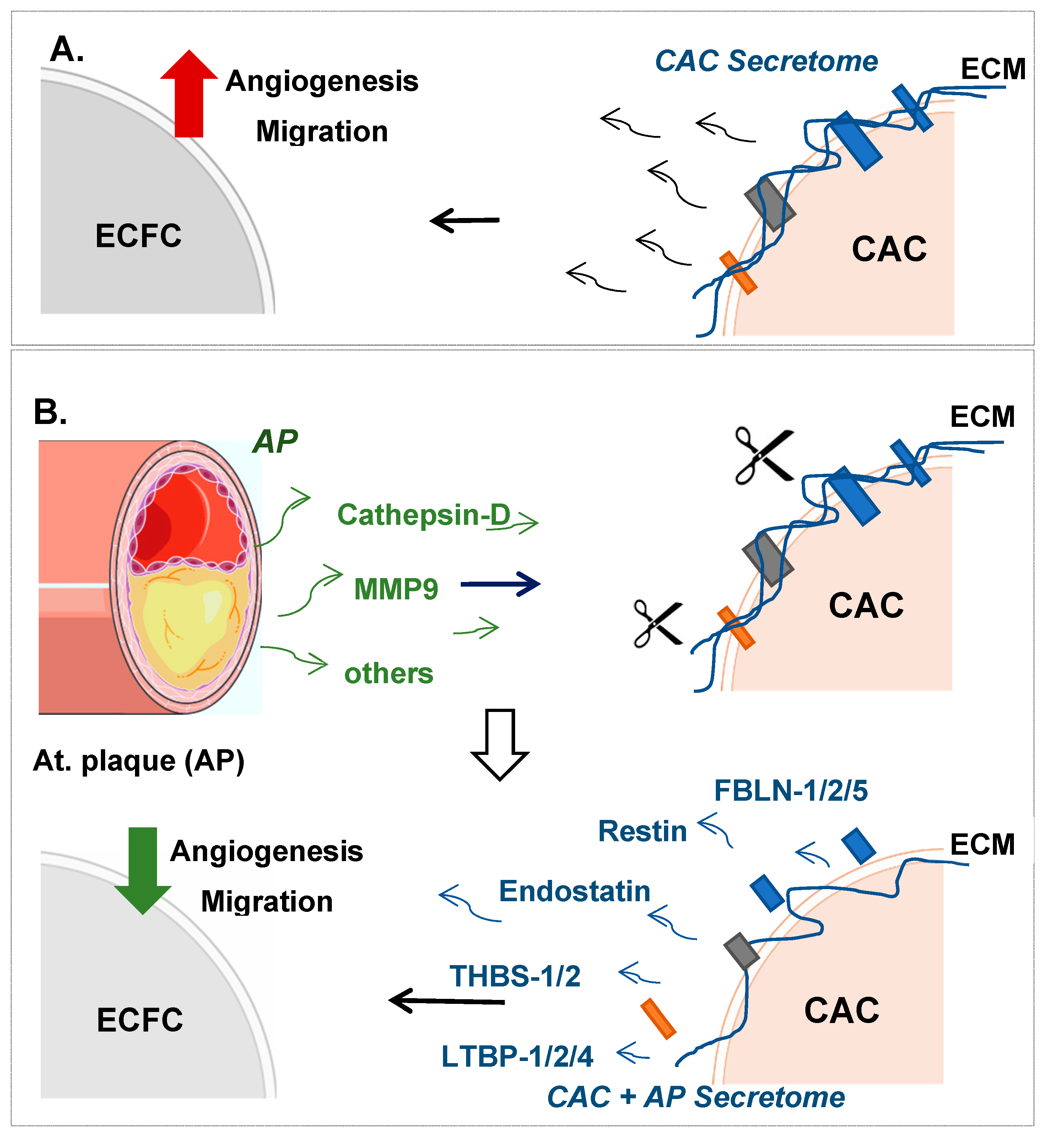 Ijms 21 05256 g006 Ijms 21 05256 g006