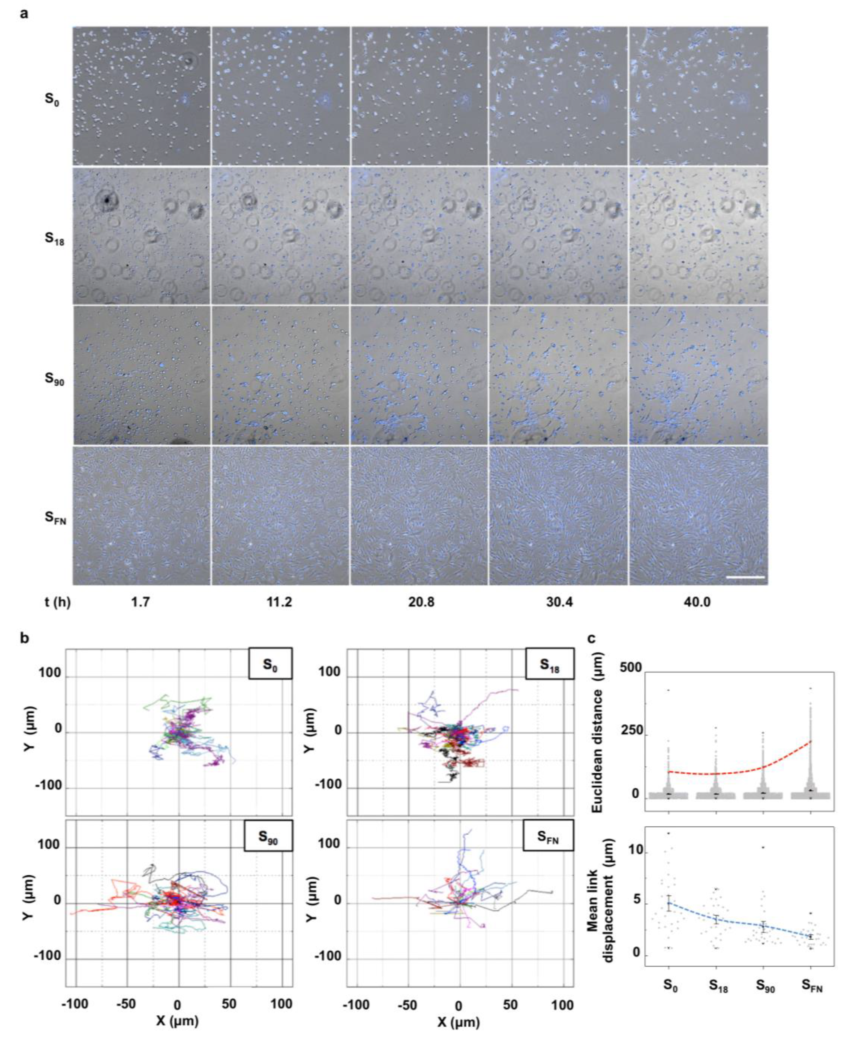 Ijms 21 05269 g001 Ijms 21 05269 g001