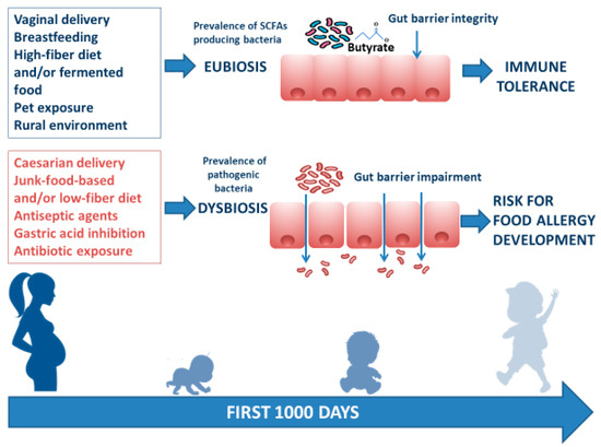 Ijms Free Full Text Gut Microbiome Modulation For Preventing And