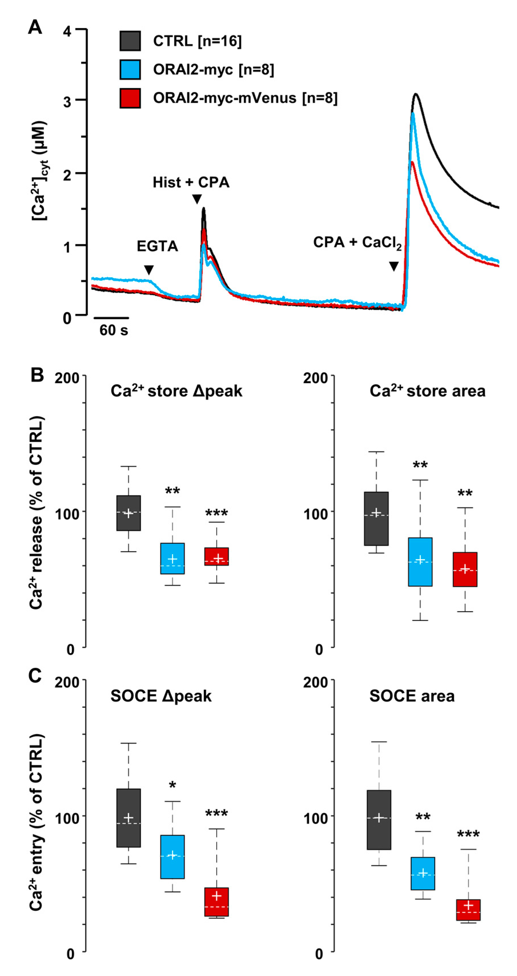 Ijms 21 05288 g001 Ijms 21 05288 g001