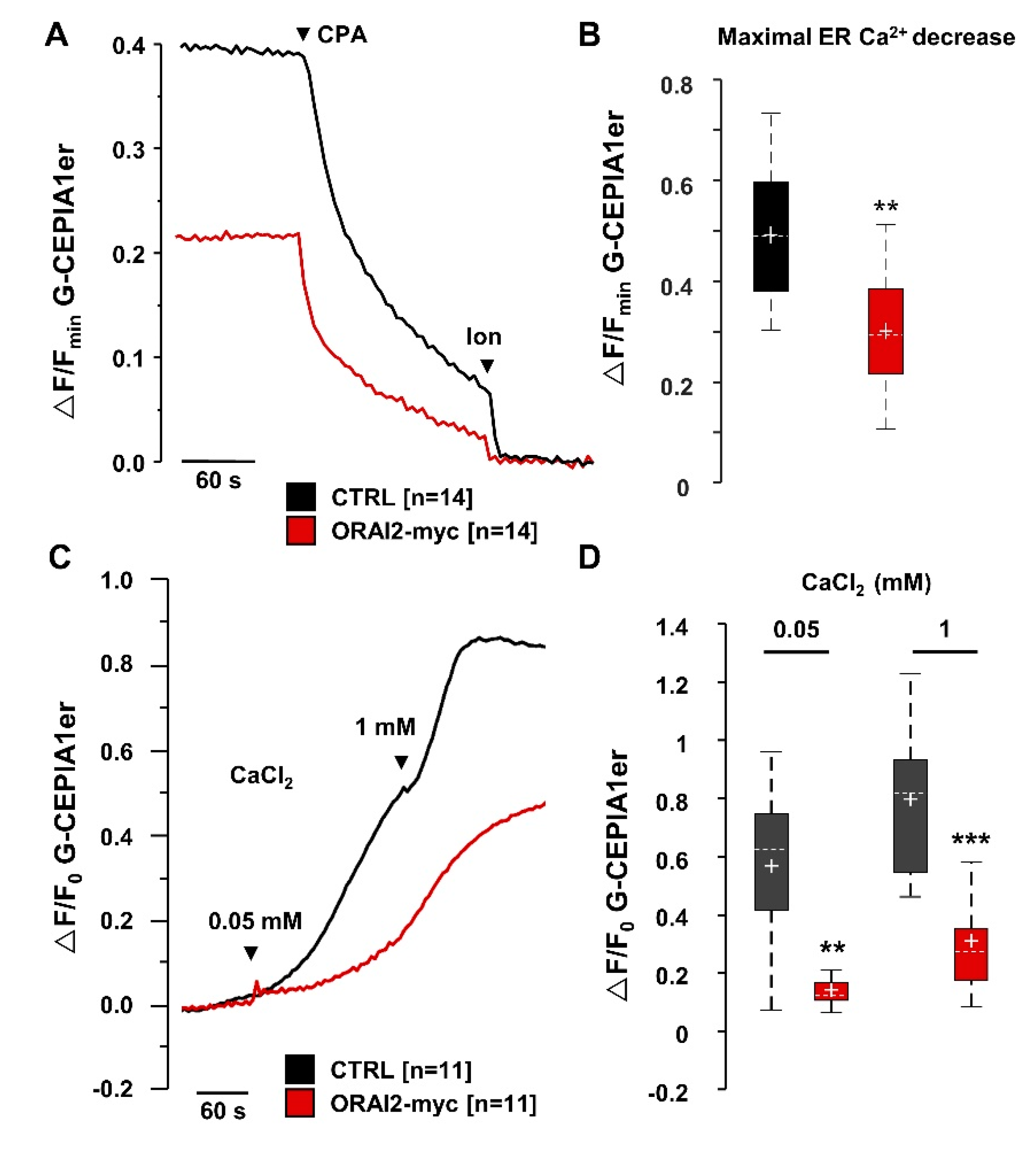 Ijms 21 05288 g004 Ijms 21 05288 g004