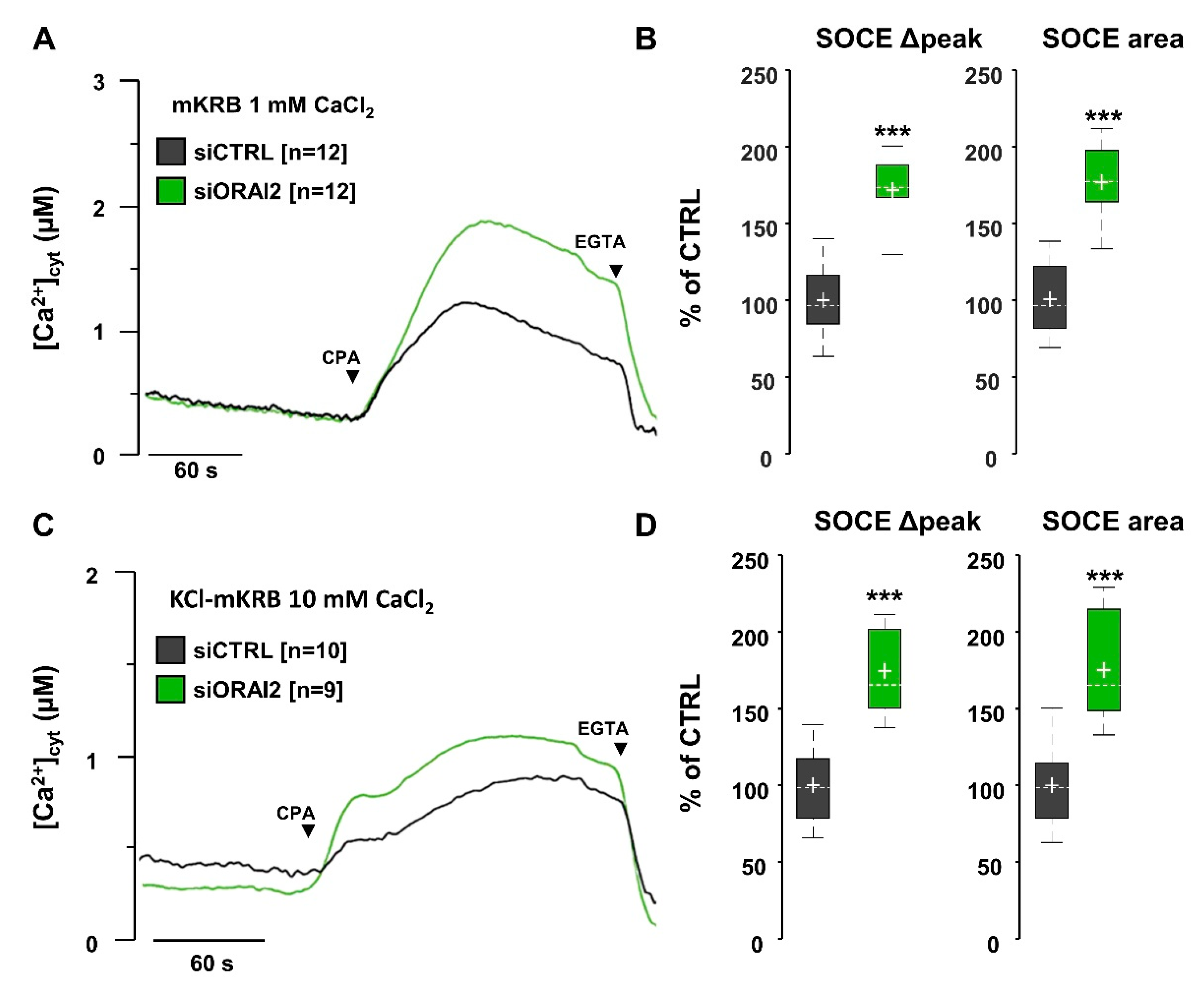 Ijms 21 05288 g005 Ijms 21 05288 g005