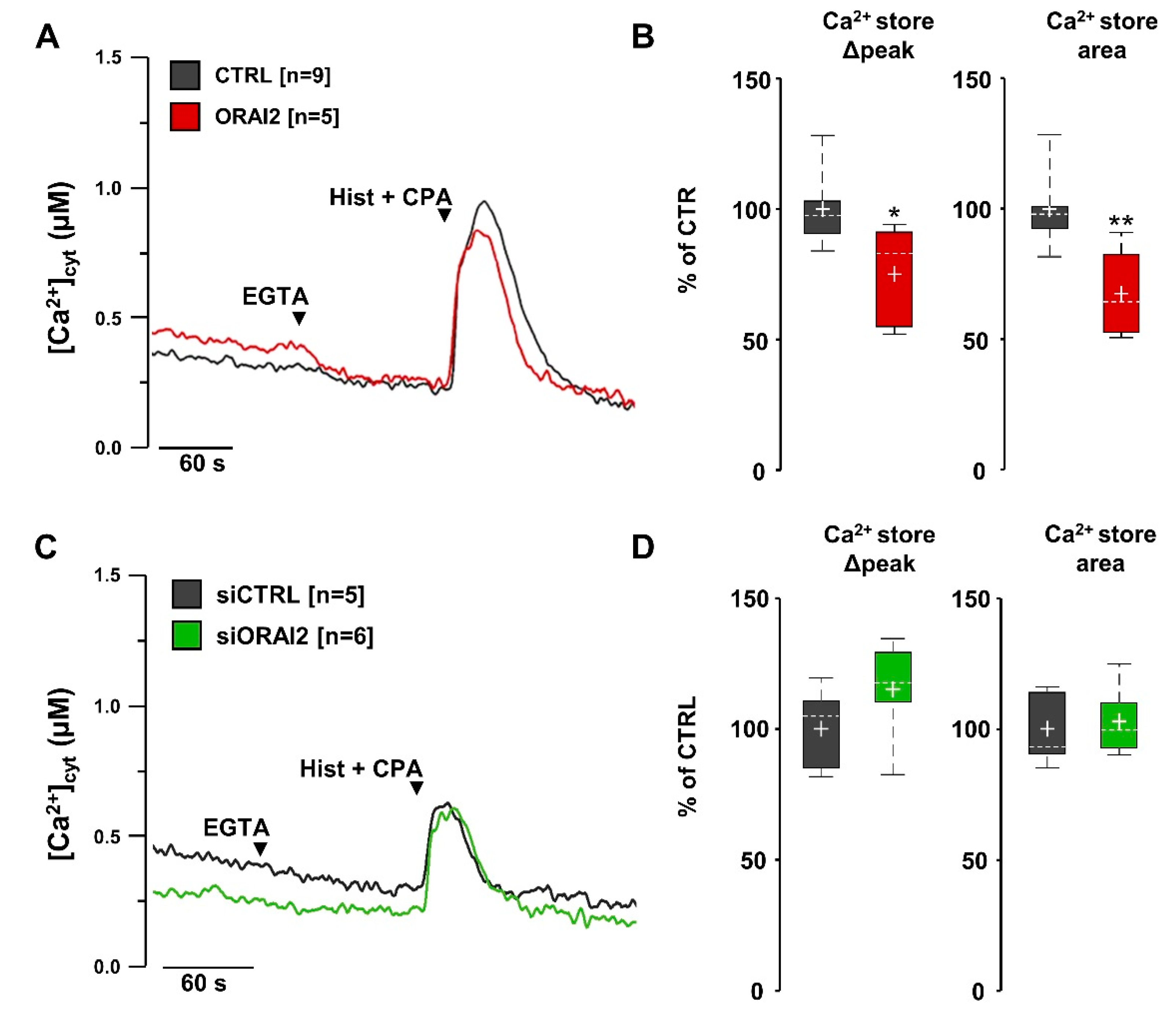 Ijms 21 05288 g006 Ijms 21 05288 g006